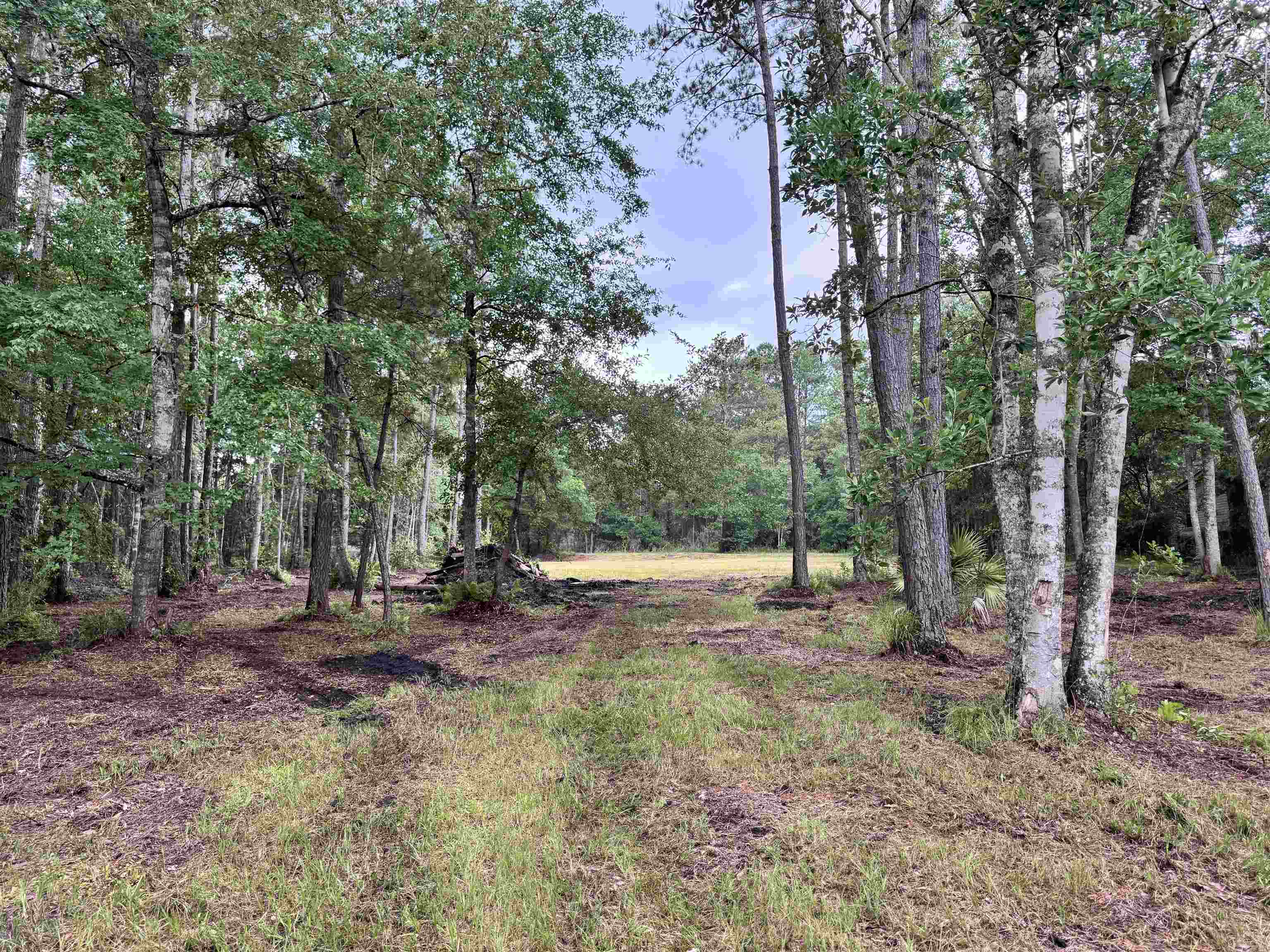0 Harvest Way Middleburg, FL 32068 - Photo 11 of 25 a view of a backyard with tree s