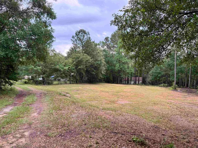 a view of a yard with a tree