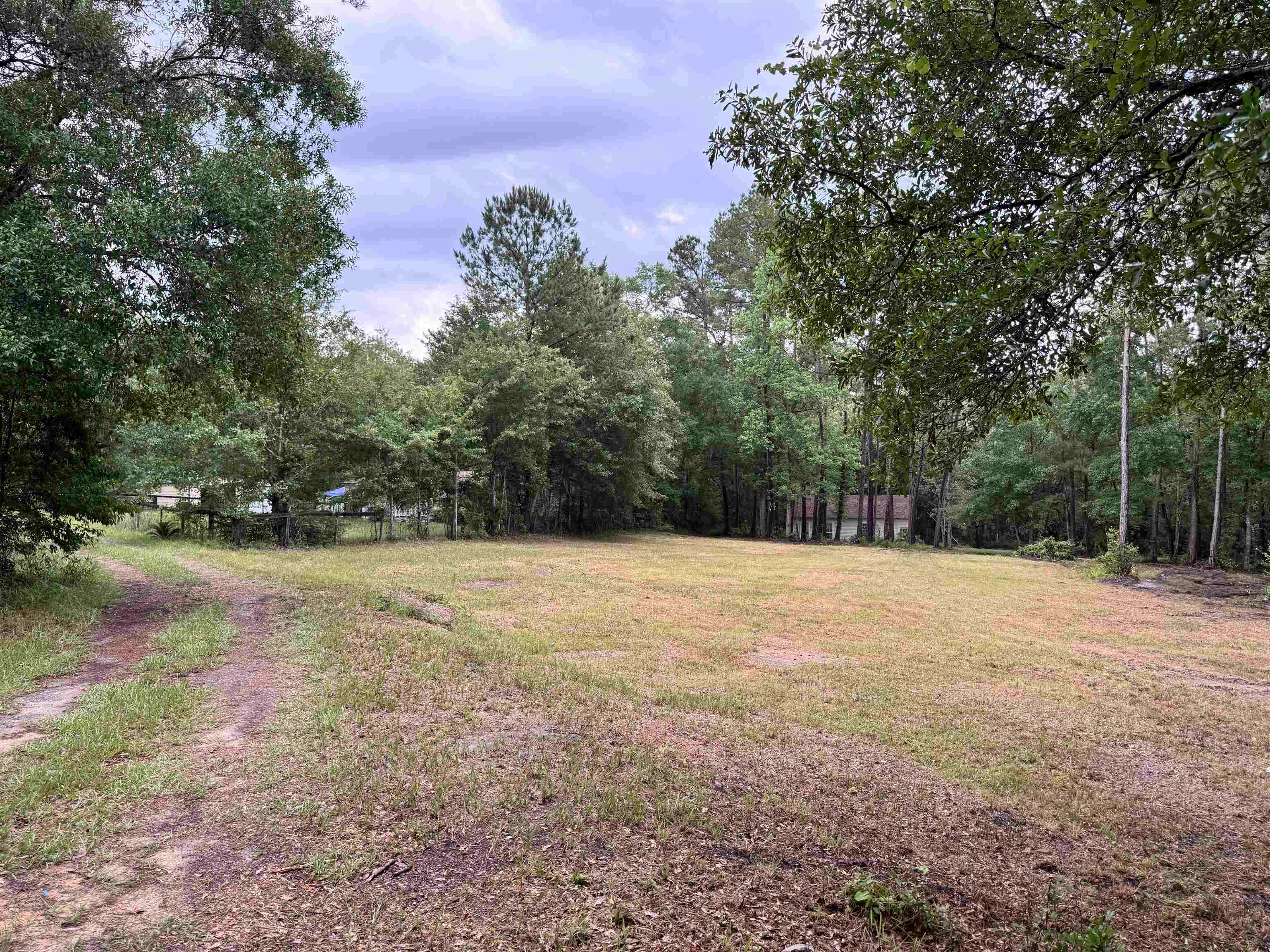 0 Harvest Way Middleburg, FL 32068 - Photo 12 of 25 a view of a yard with a tree