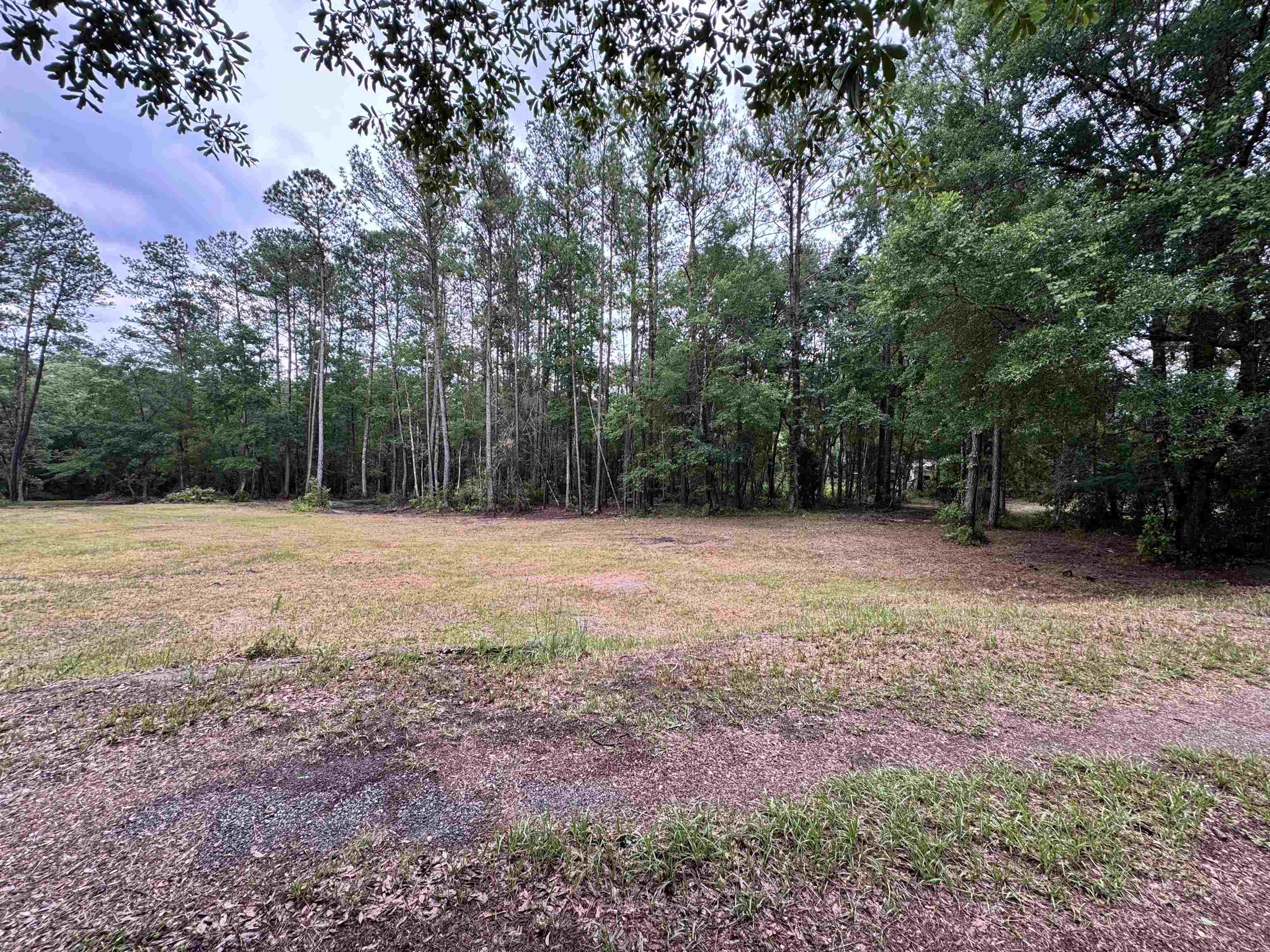 0 Harvest Way Middleburg, FL 32068 - Photo 13 of 25 a view of backyard with tree