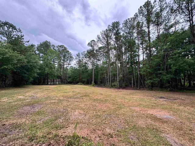 a backyard of a house with lots of green space