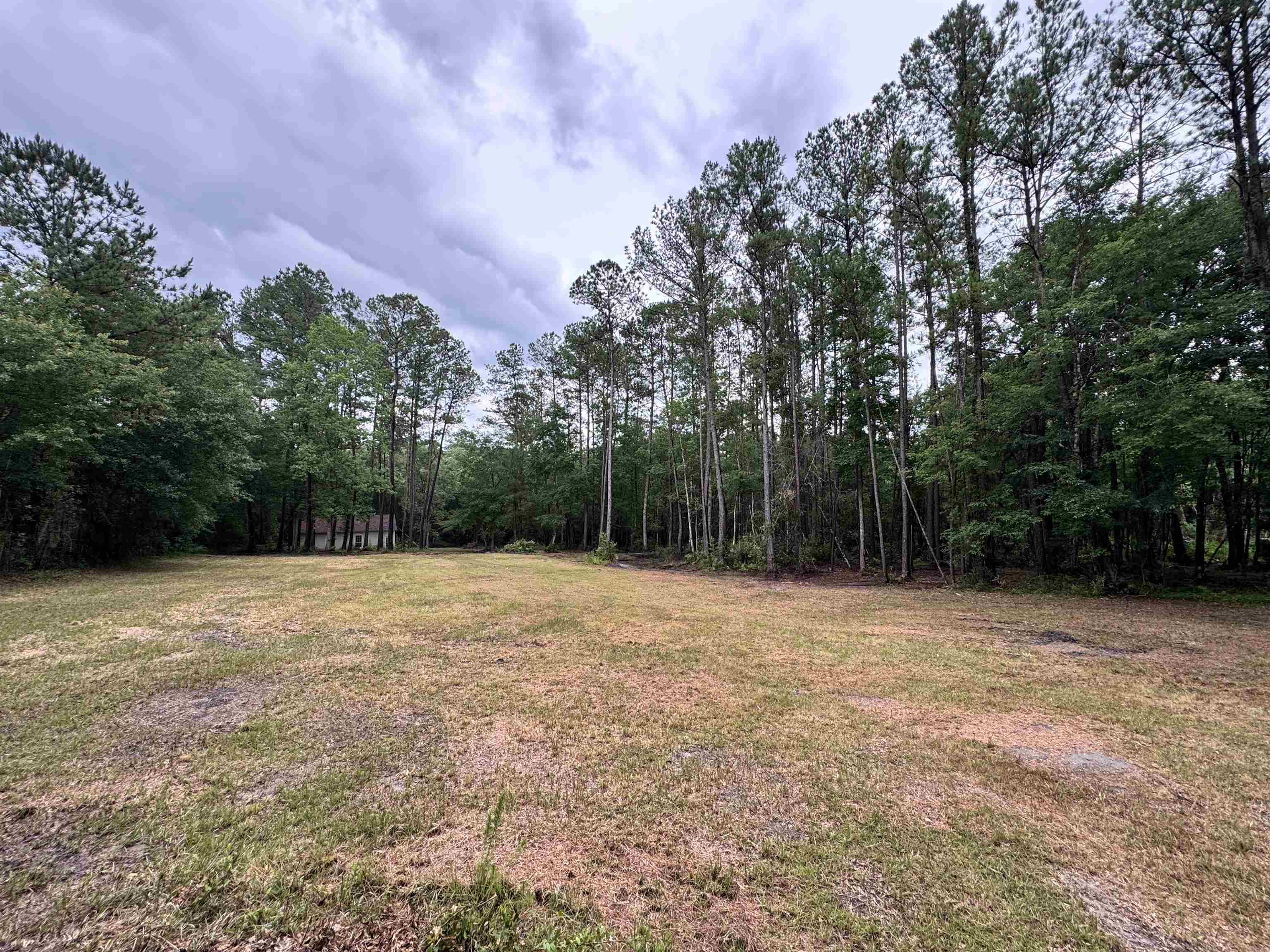 0 Harvest Way Middleburg, FL 32068 - Photo 14 of 25 a backyard of a house with lots of green space