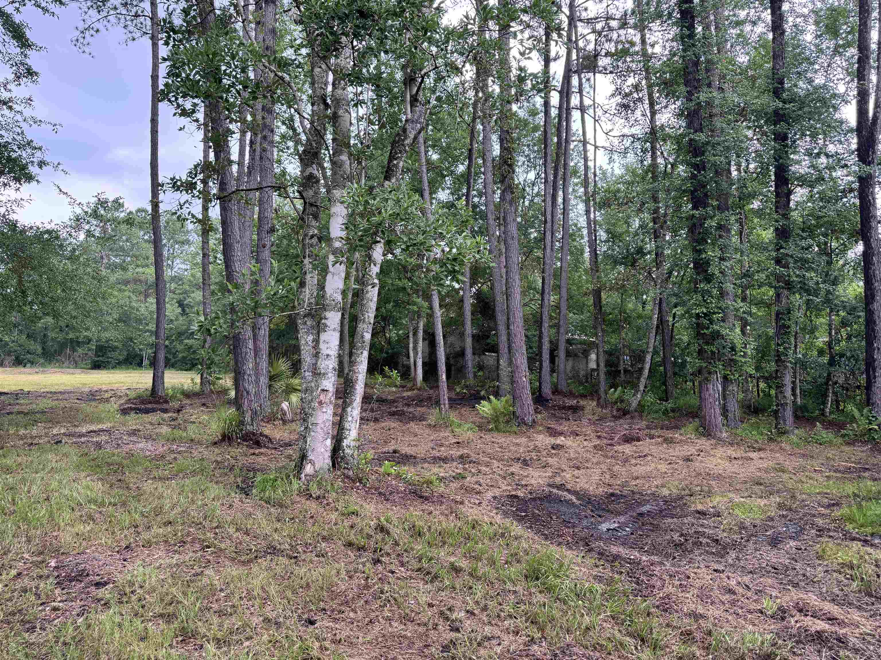 0 Harvest Way Middleburg, FL 32068 - Photo 15 of 25 a backyard of a house with lots of green space