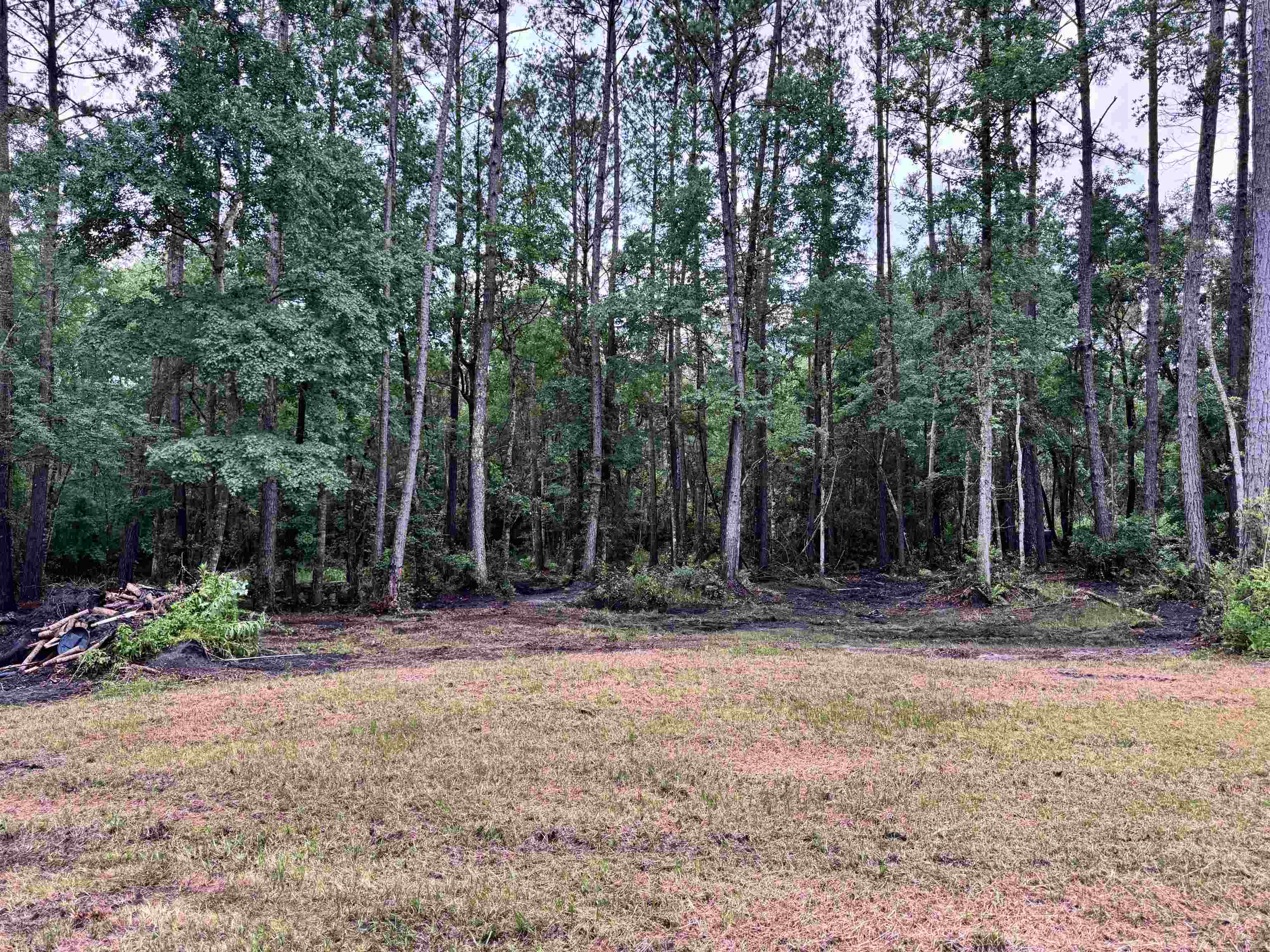 0 Harvest Way Middleburg, FL 32068 - Photo 16 of 25 a backyard of a house with lots of green space