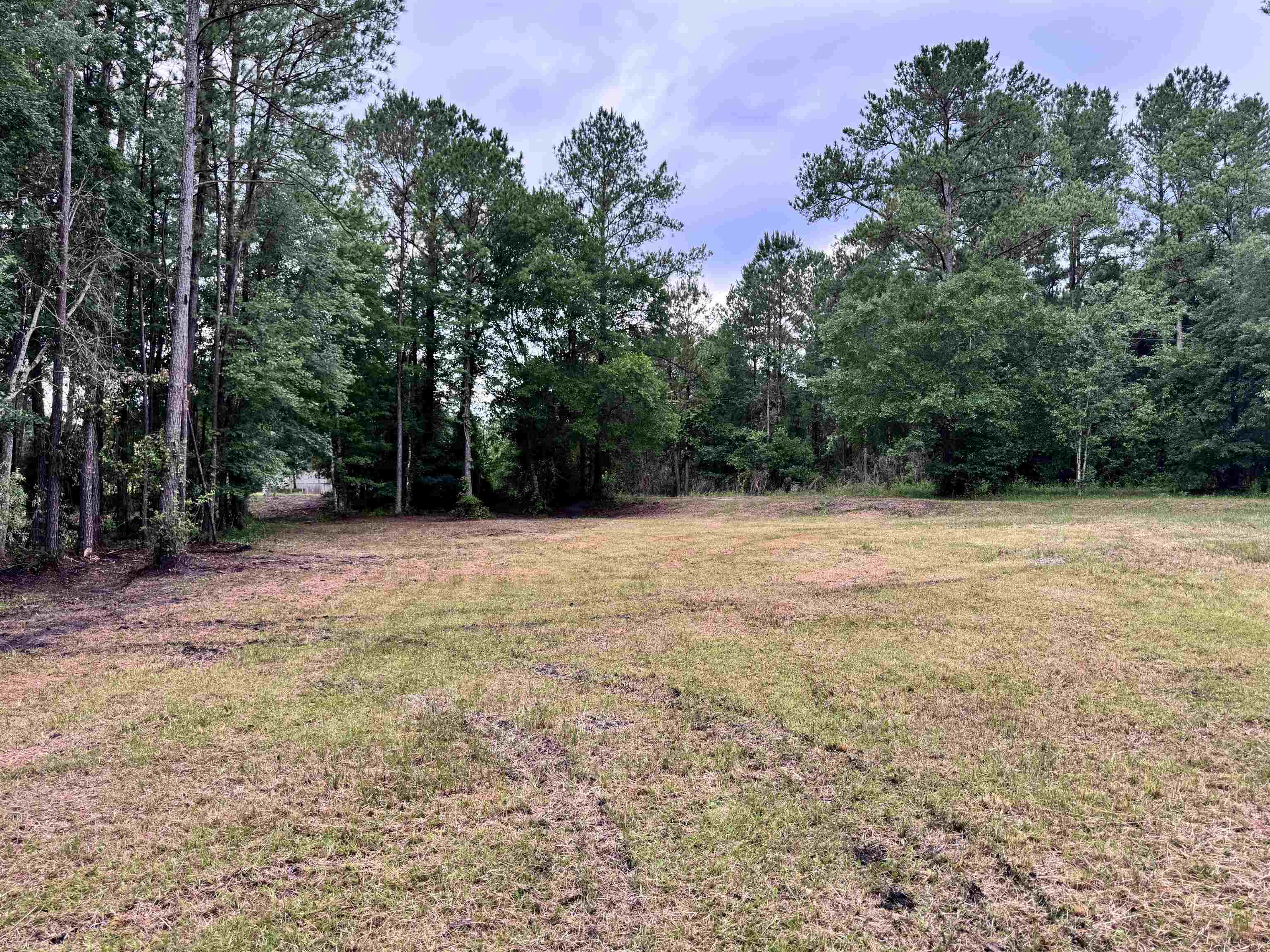 0 Harvest Way Middleburg, FL 32068 - Photo 17 of 25 a view of basketball court