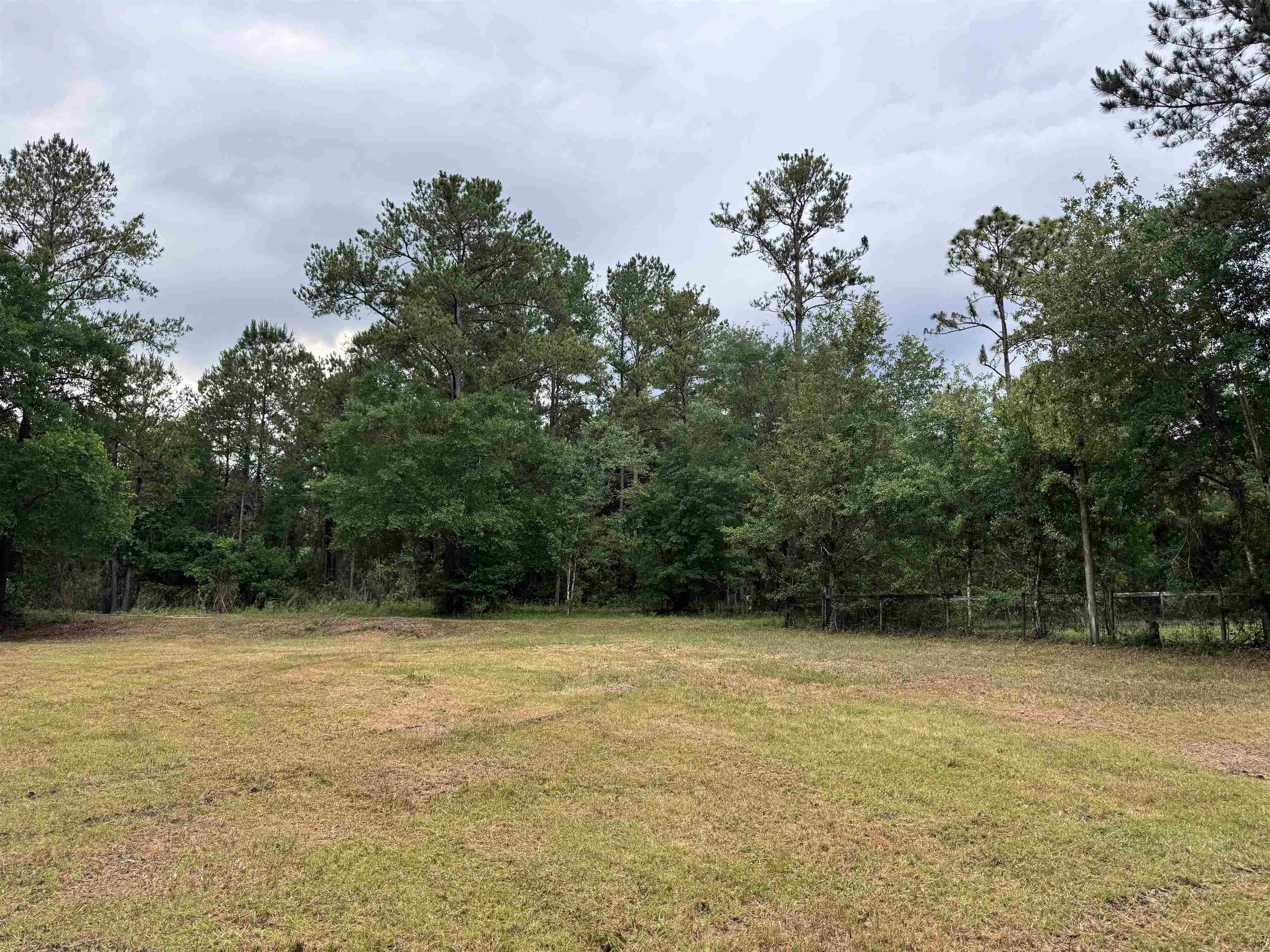 0 Harvest Way Middleburg, FL 32068 - Photo 18 of 25 a view of a garden