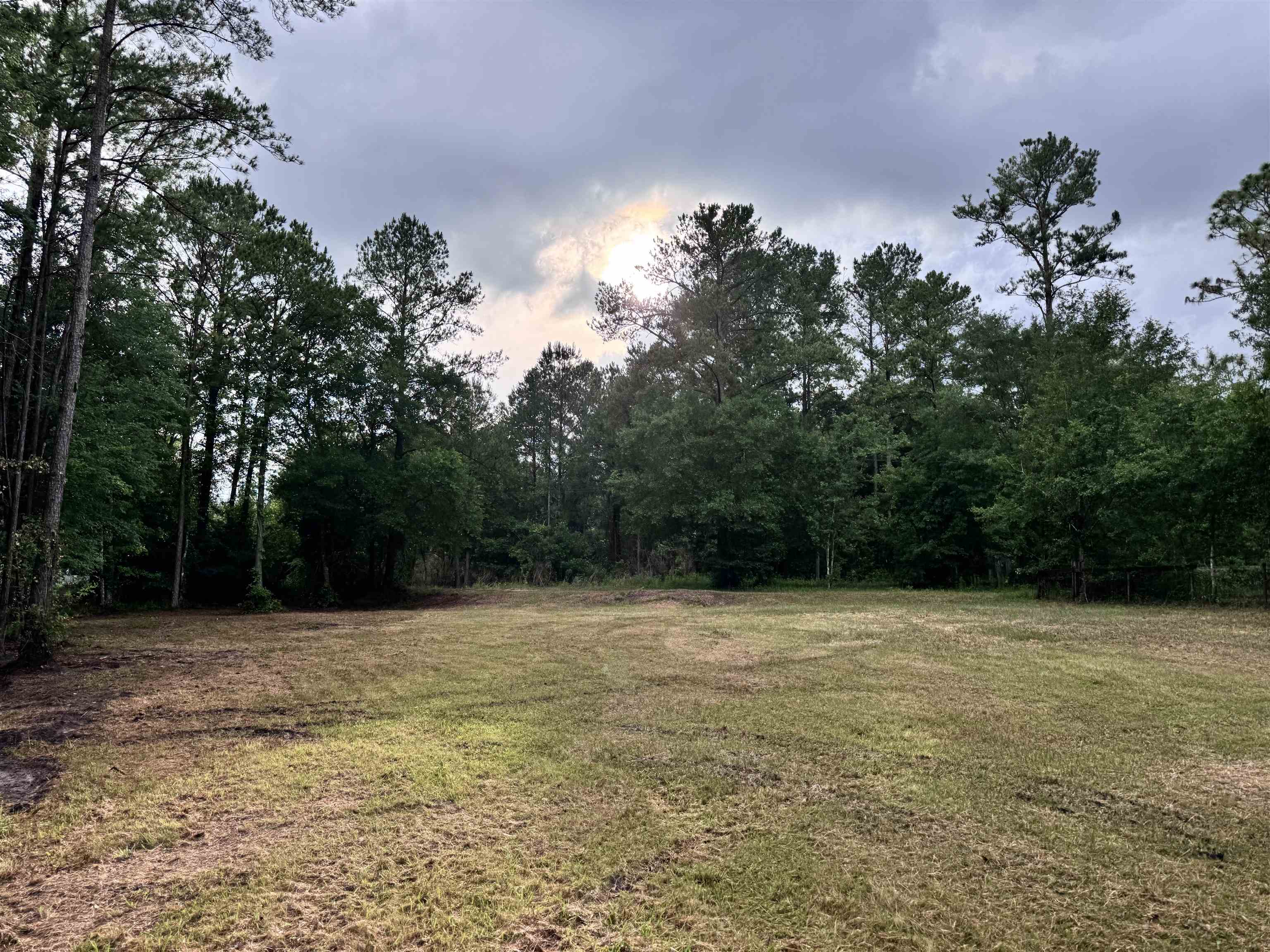 0 Harvest Way Middleburg, FL 32068 - Photo 19 of 25 a view of empty with green space