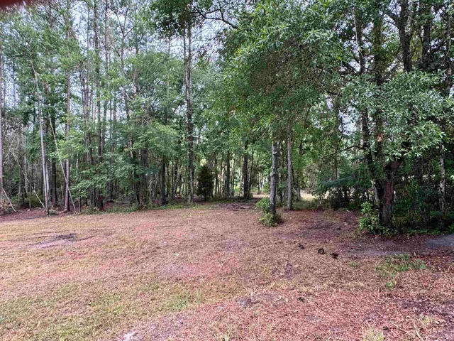 a view of outdoor space with trees
