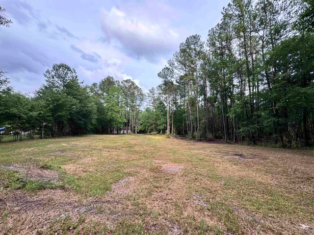 a view of a field with trees in the background