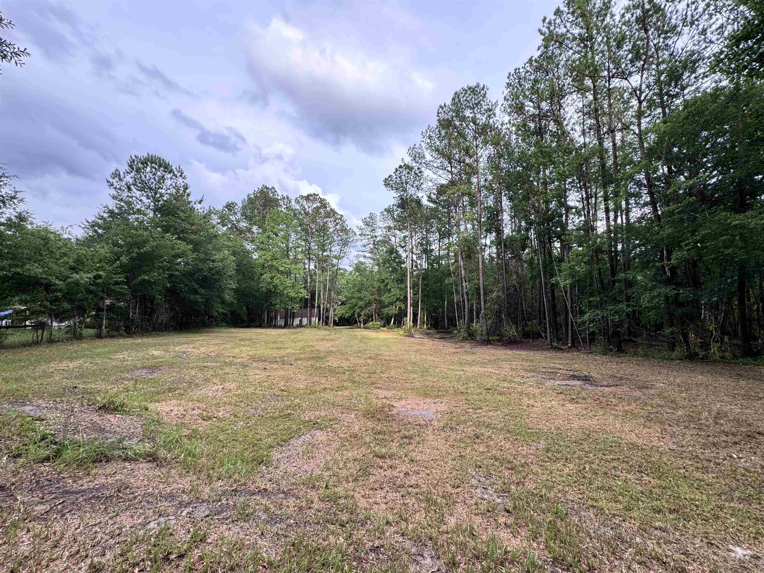0 Harvest Way Middleburg, FL 32068 - Photo 2 of 25 a view of a field with trees in the background
