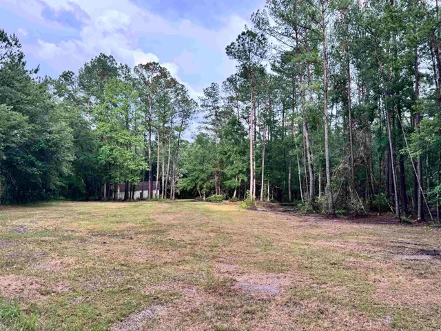 a backyard of a house with lots of green space