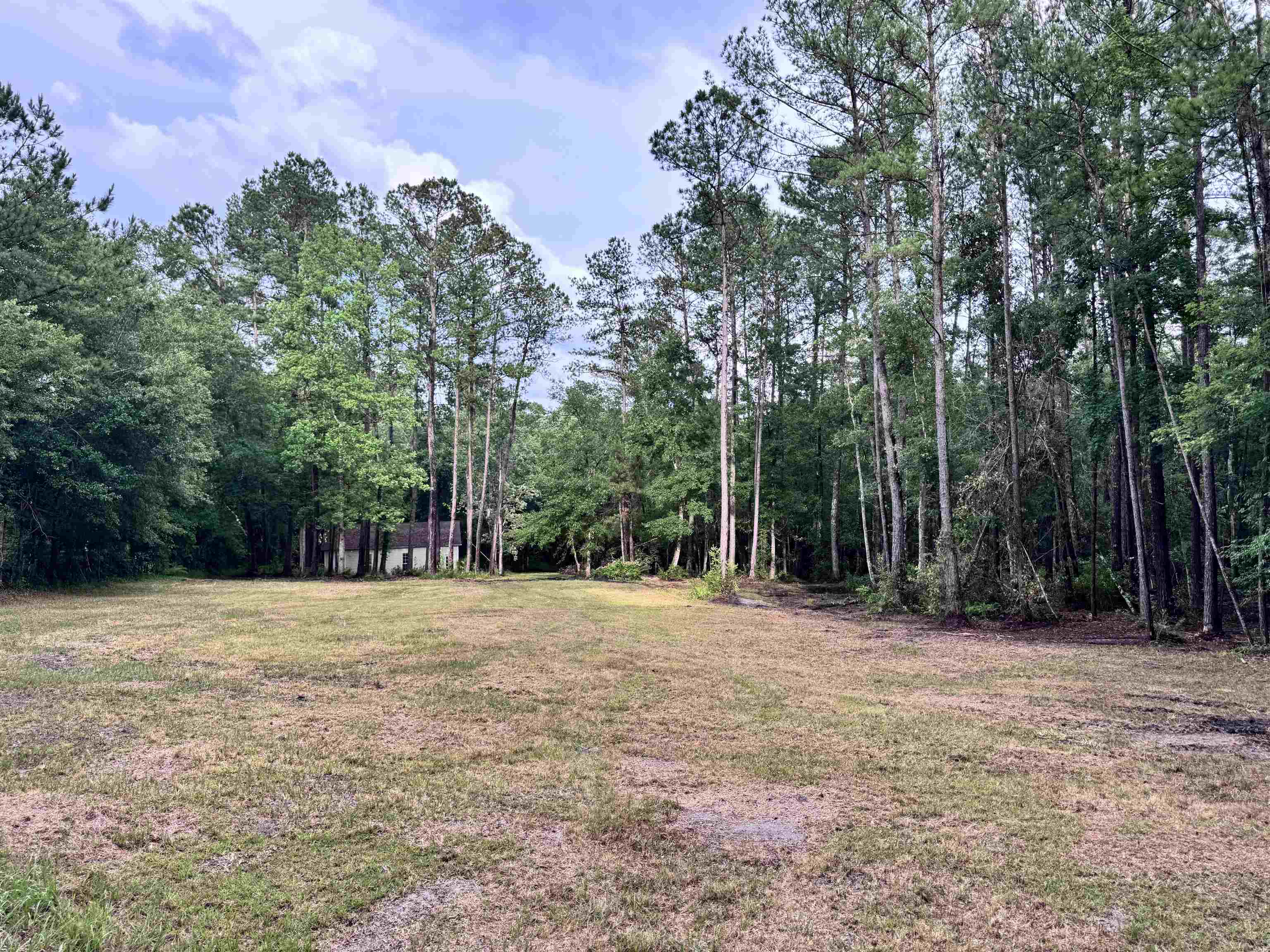 0 Harvest Way Middleburg, FL 32068 - Photo 21 of 25 a backyard of a house with lots of green space