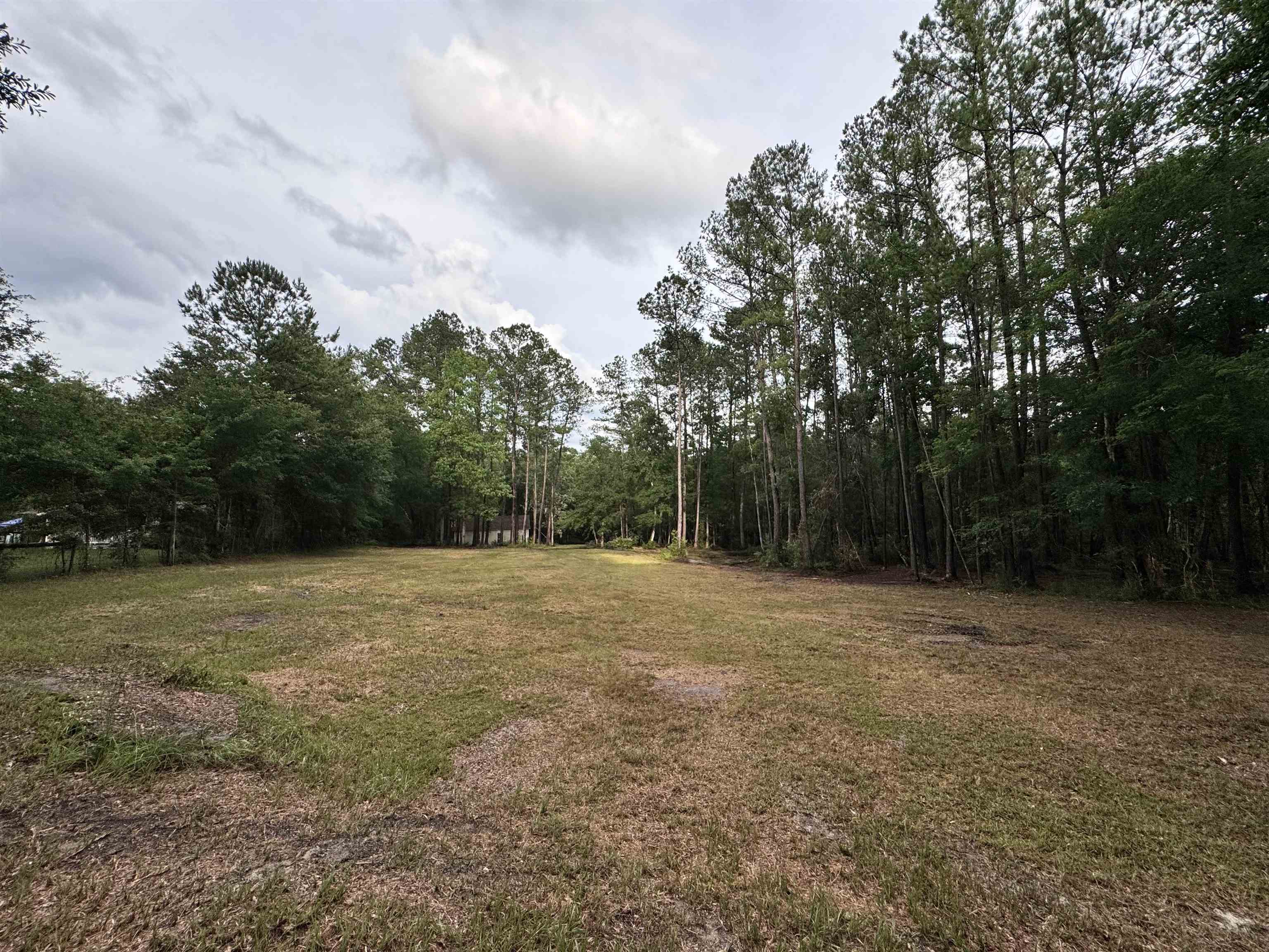 0 Harvest Way Middleburg, FL 32068 - Photo 22 of 25 a view of outdoor space with trees all around