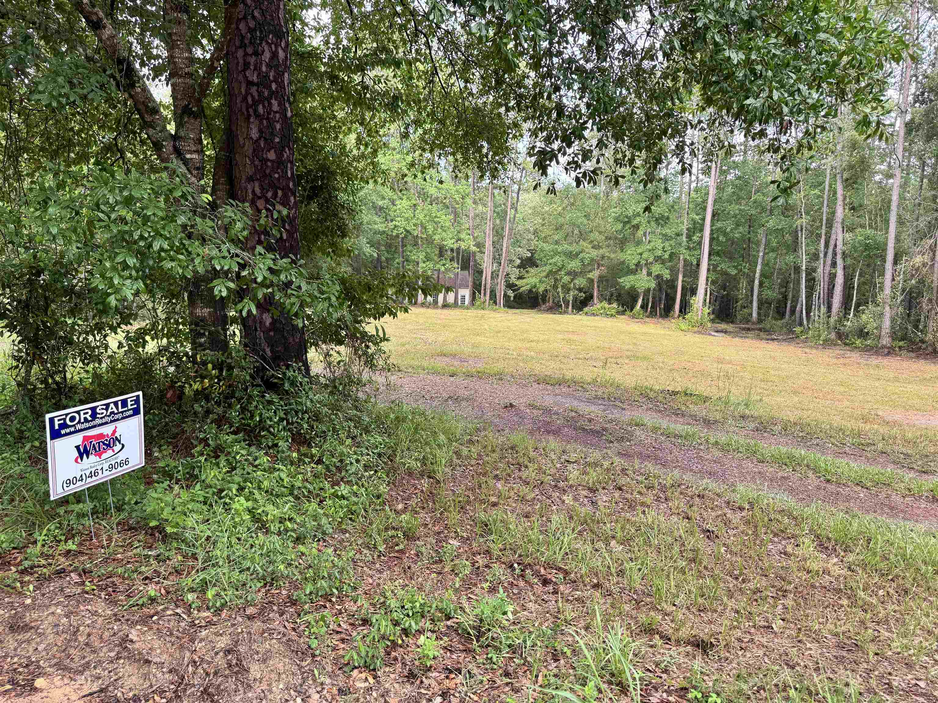 0 Harvest Way Middleburg, FL 32068 - Photo 23 of 25 a sign board with tall trees