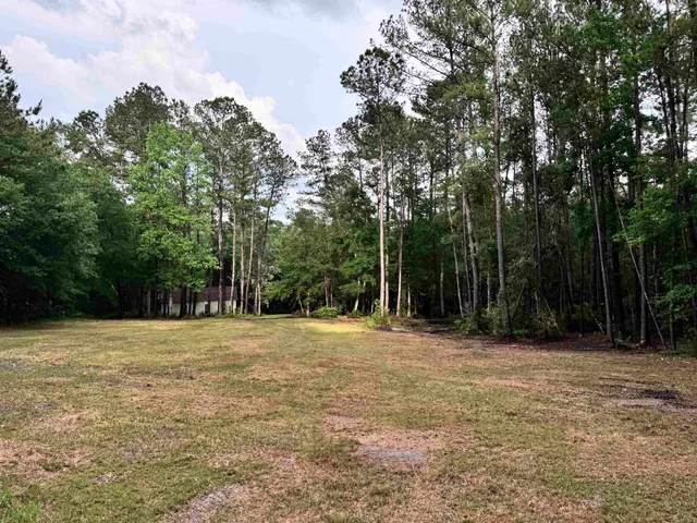 a backyard of a house with lots of trees