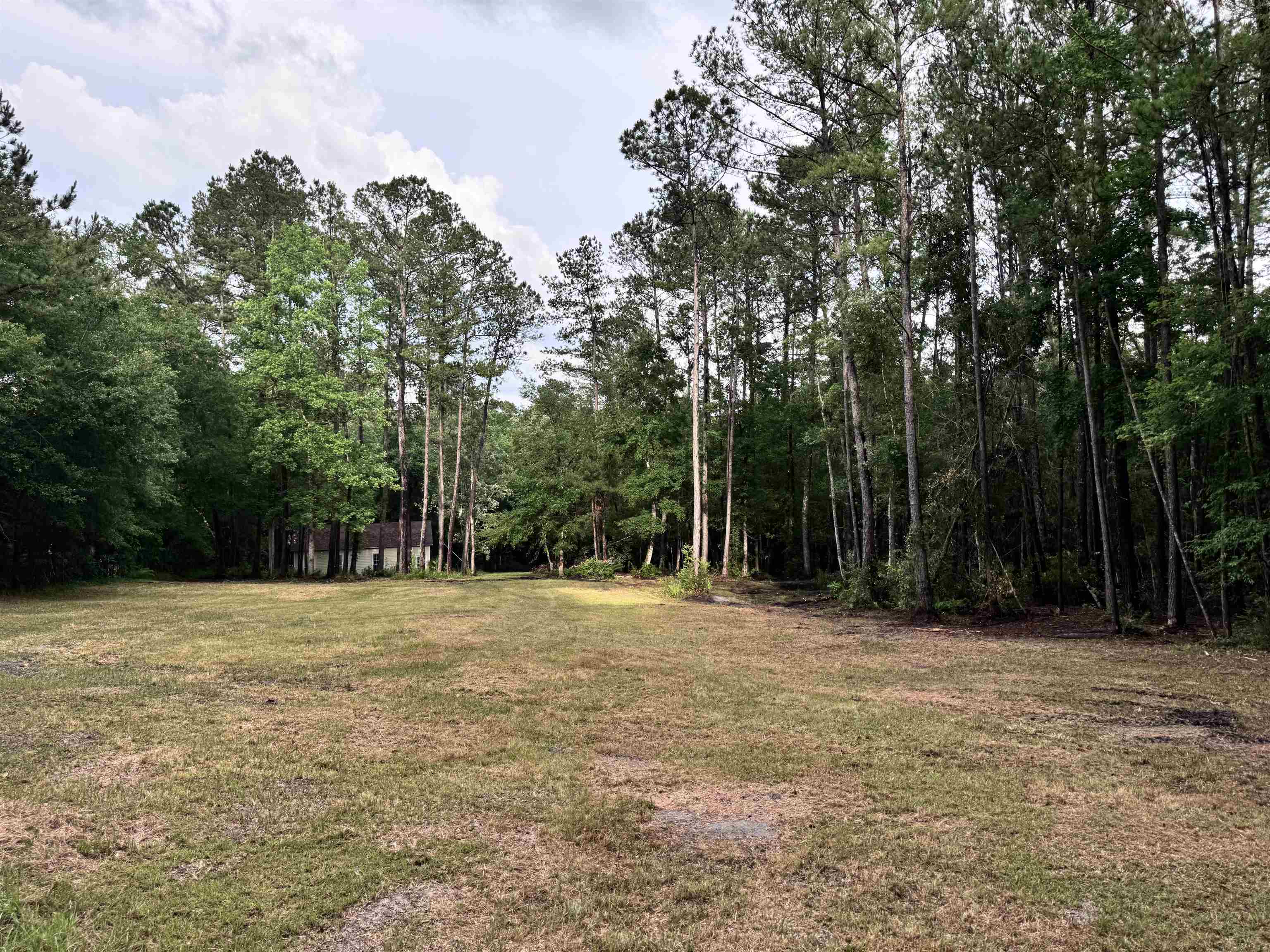 0 Harvest Way Middleburg, FL 32068 - Photo 3 of 25 a backyard of a house with lots of trees