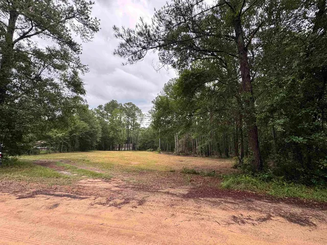 a view of a field with trees in the background