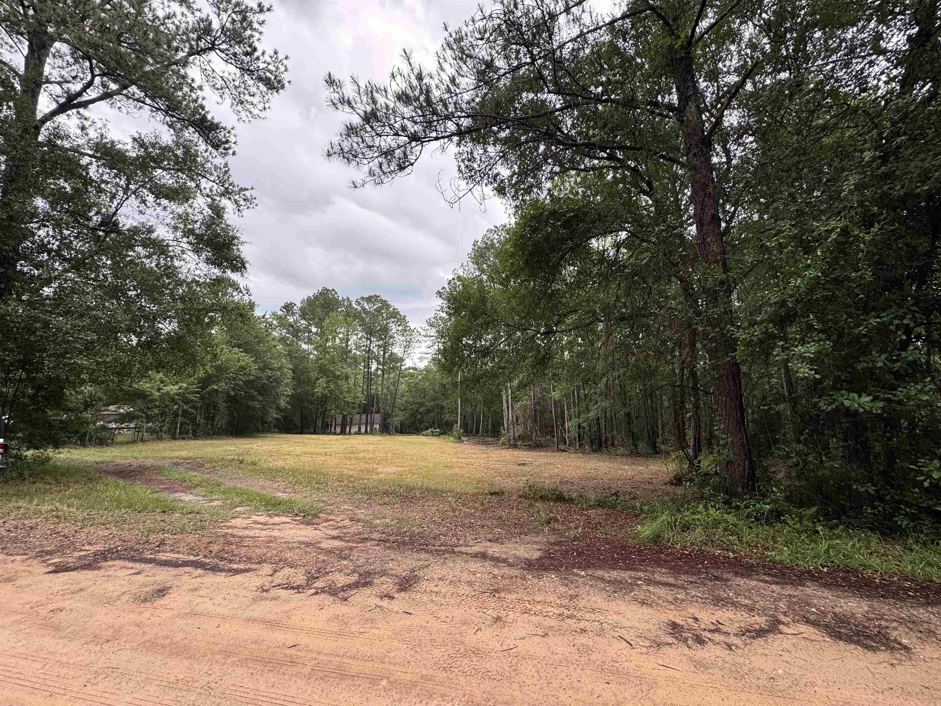 0 Harvest Way Middleburg, FL 32068 - Photo 4 of 25 a view of a field with trees in the background