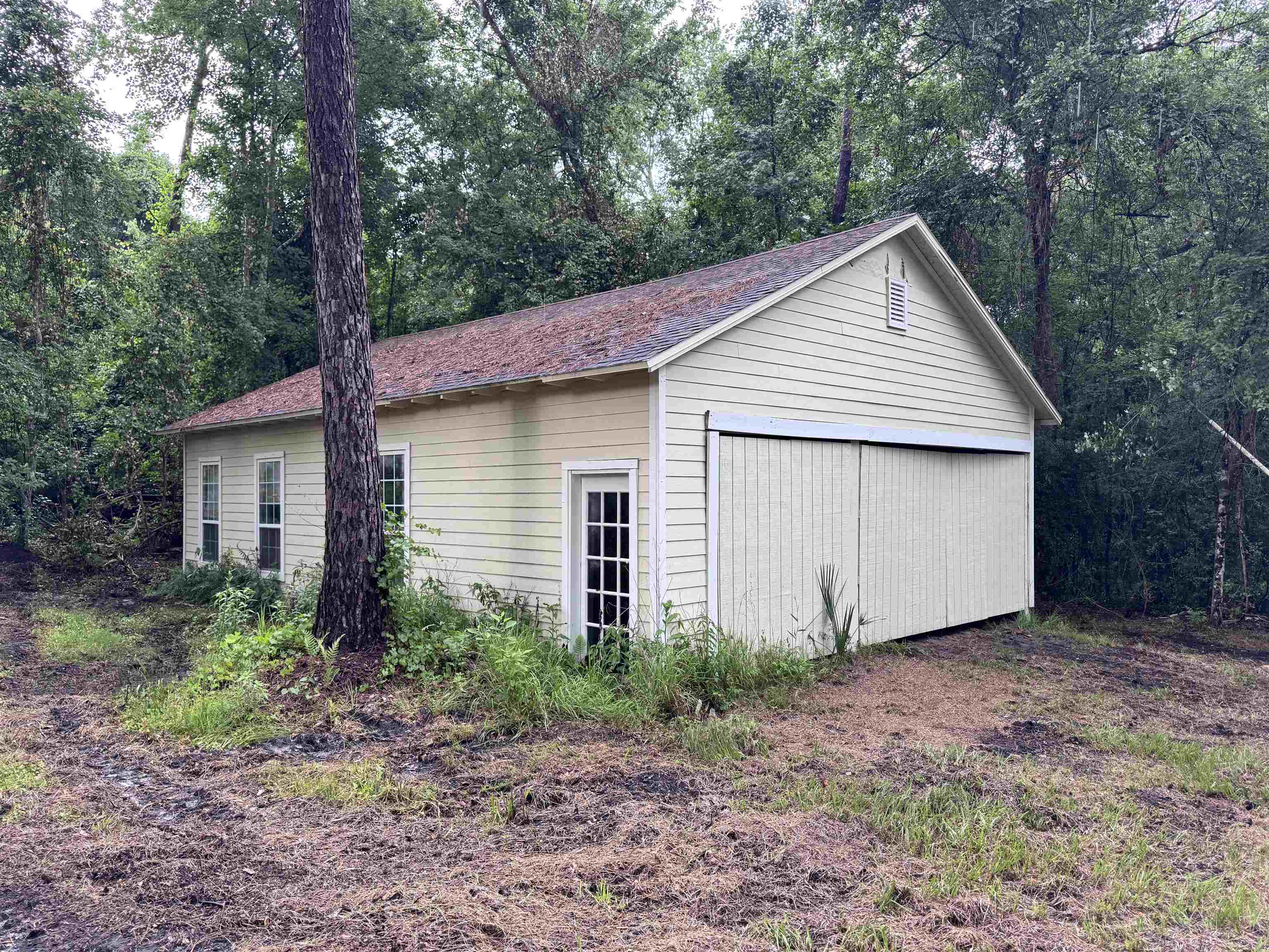 0 Harvest Way Middleburg, FL 32068 - Photo 5 of 25 a backyard of a house with plants and large tree