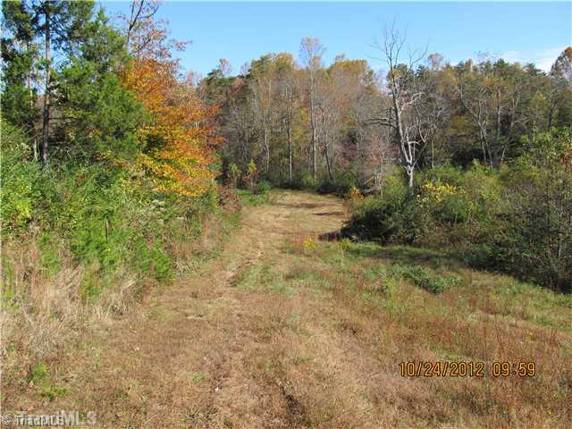 0 Armstrong Road Pilot Mountain, NC 27041 - Photo 3 of 12 Land.