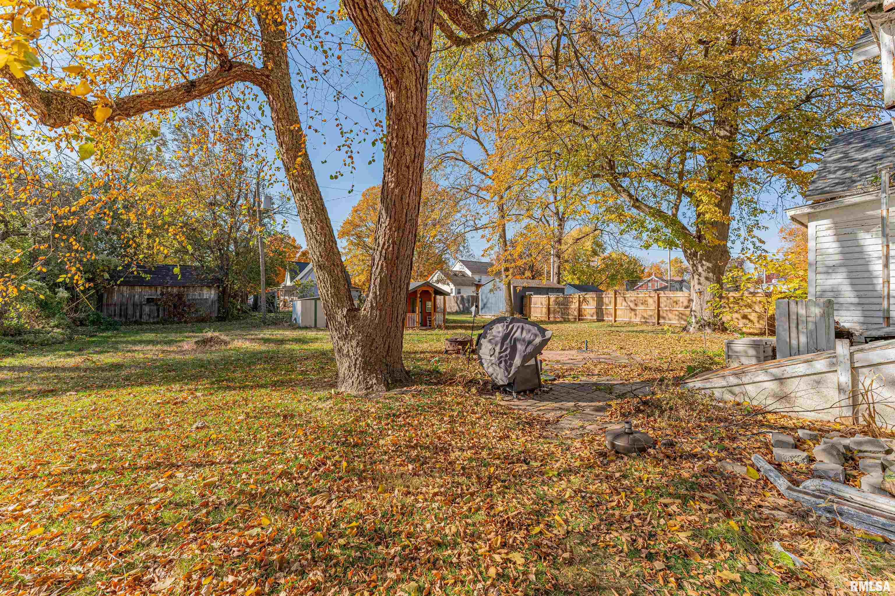 209 North Minier Avenue Minier, IL 61759 - Photo 22 of 24