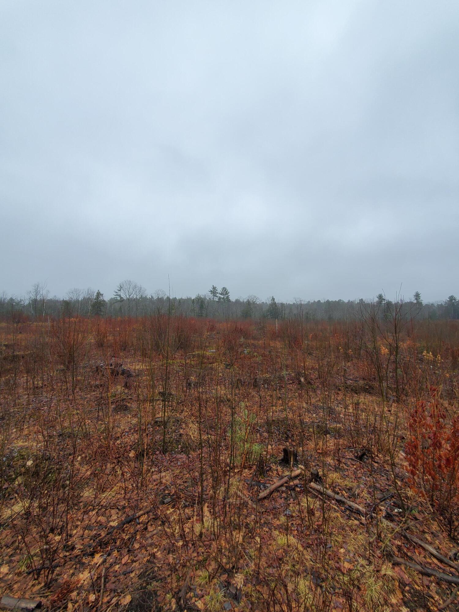 63 Watson Mill Road Saco, ME 04072 - Photo 11 of 12 20220312_115714