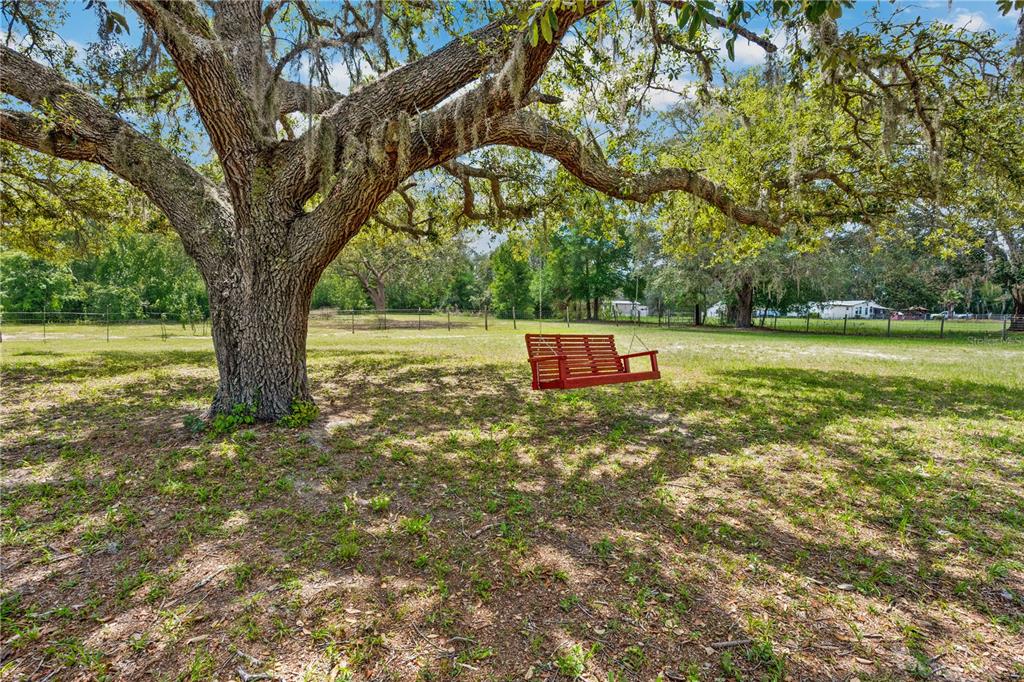 4131 Burwell Road Webster, FL 33597 - Photo 43 of 56