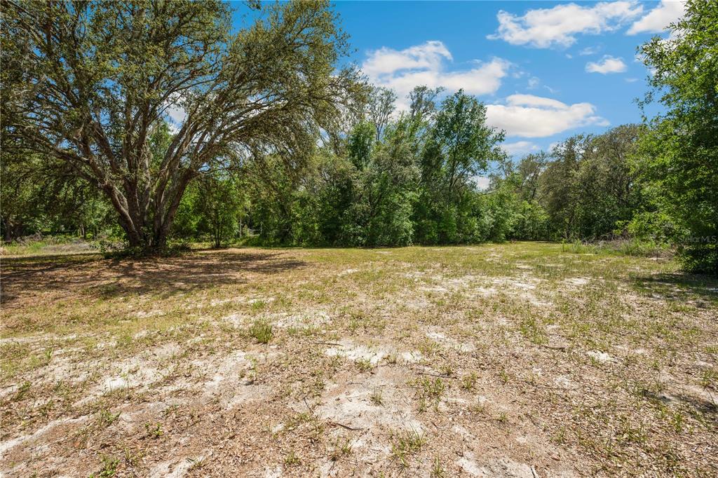4131 Burwell Road Webster, FL 33597 - Photo 45 of 61 a view of outdoor space with trees