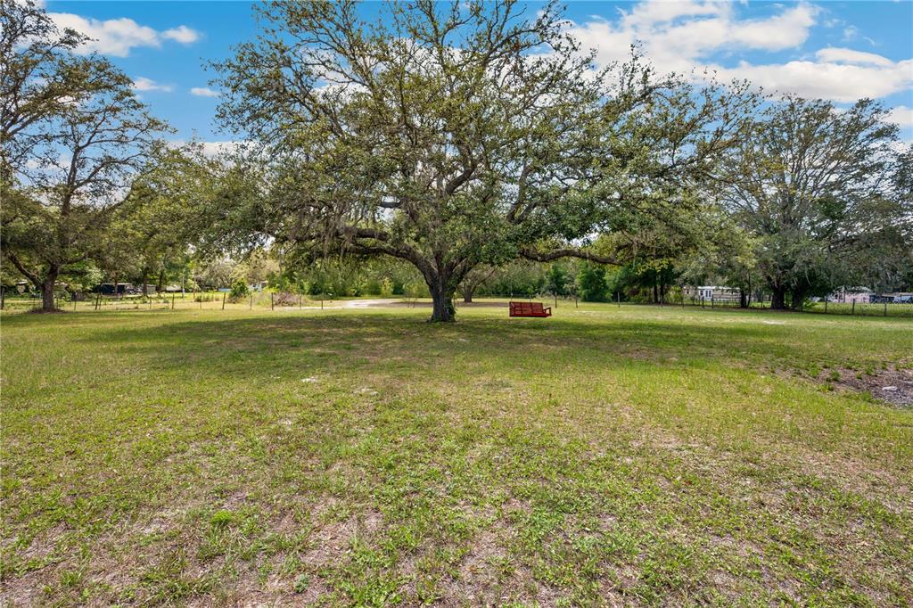 4131 Burwell Road Webster, FL 33597 - Photo 5 of 56