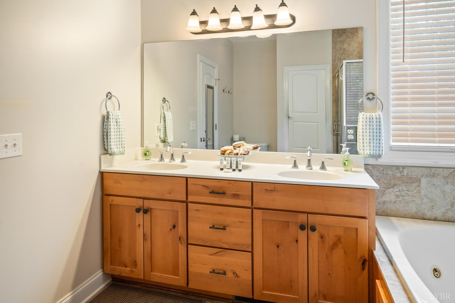189 Irvington Springs Road Lynchburg, VA 24503 - Photo 22 of 72