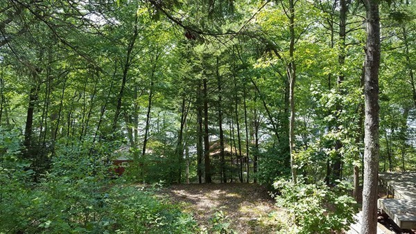 39 Ridge Way Sturbridge, MA 01566 - Photo 23 of 23 a view of forest