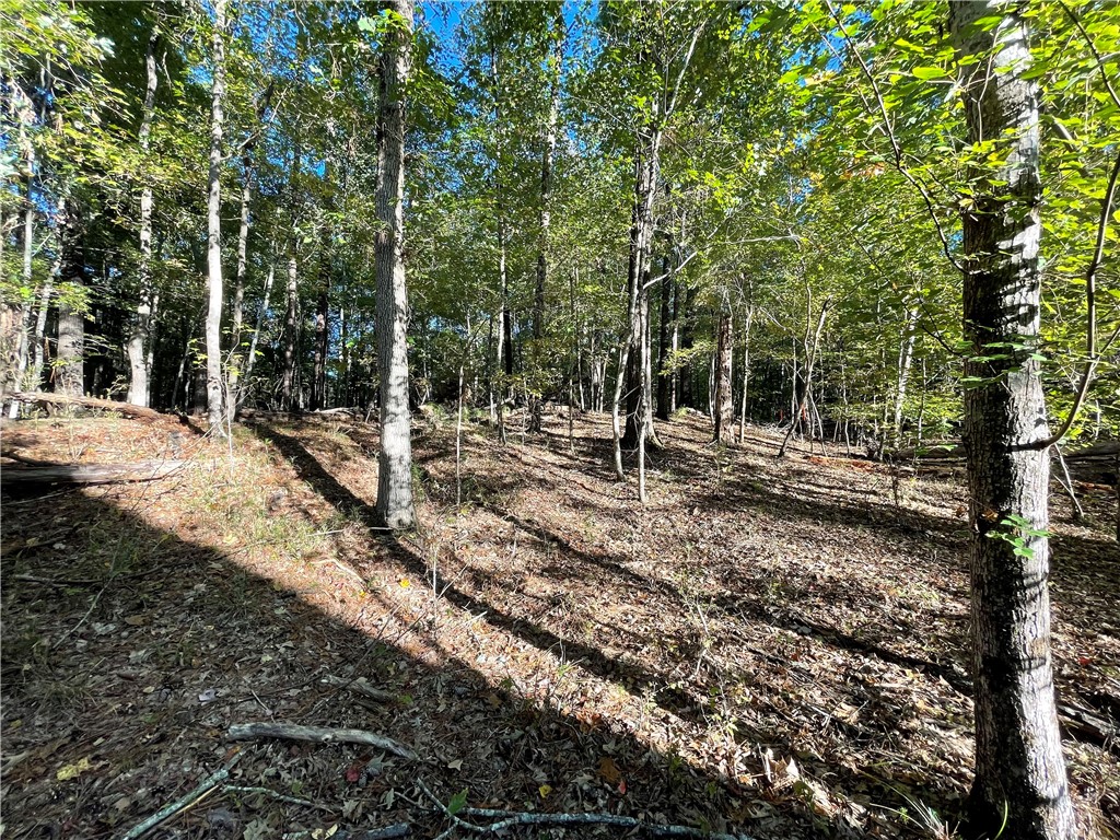 1234 Dunlap Road Anderson, SC 29621 - Photo 6 of 7 Mature trees and lush undergrowth define this tranquil, undeveloped lot.