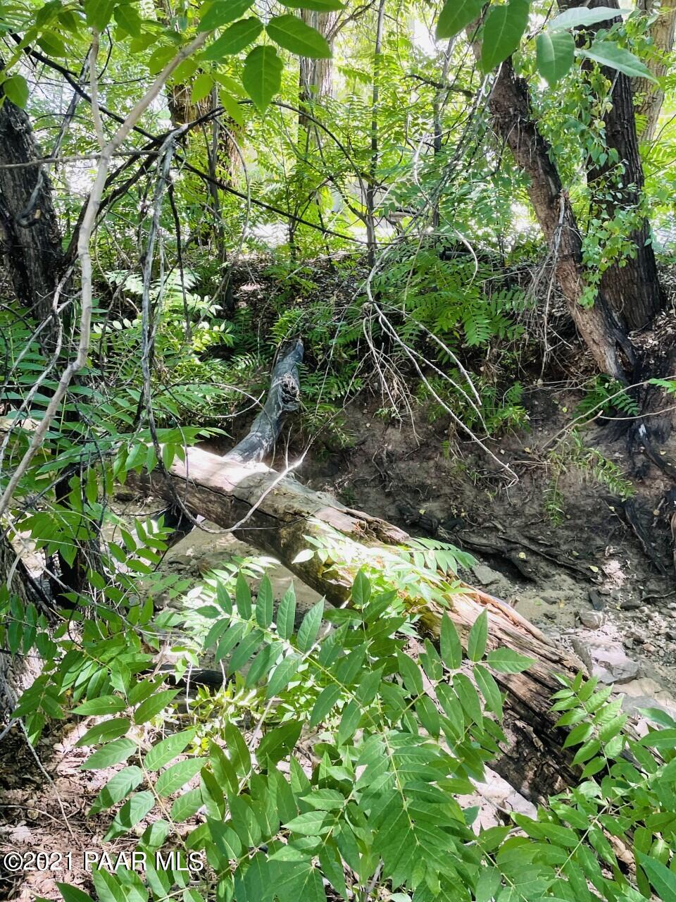 741 Gail Gardner Way, Unit I Prescott, AZ 86305 - Photo 16 of 16 a backyard of a house