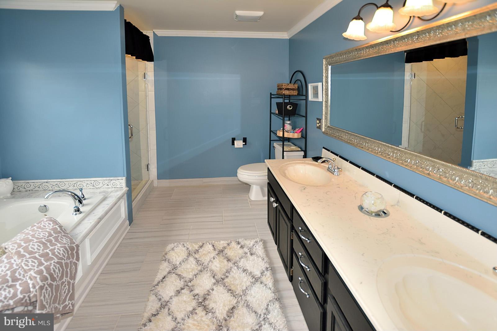 8217 Fort Hunt Road Alexandria, VA 22308 - Photo 15 of 30 Bath