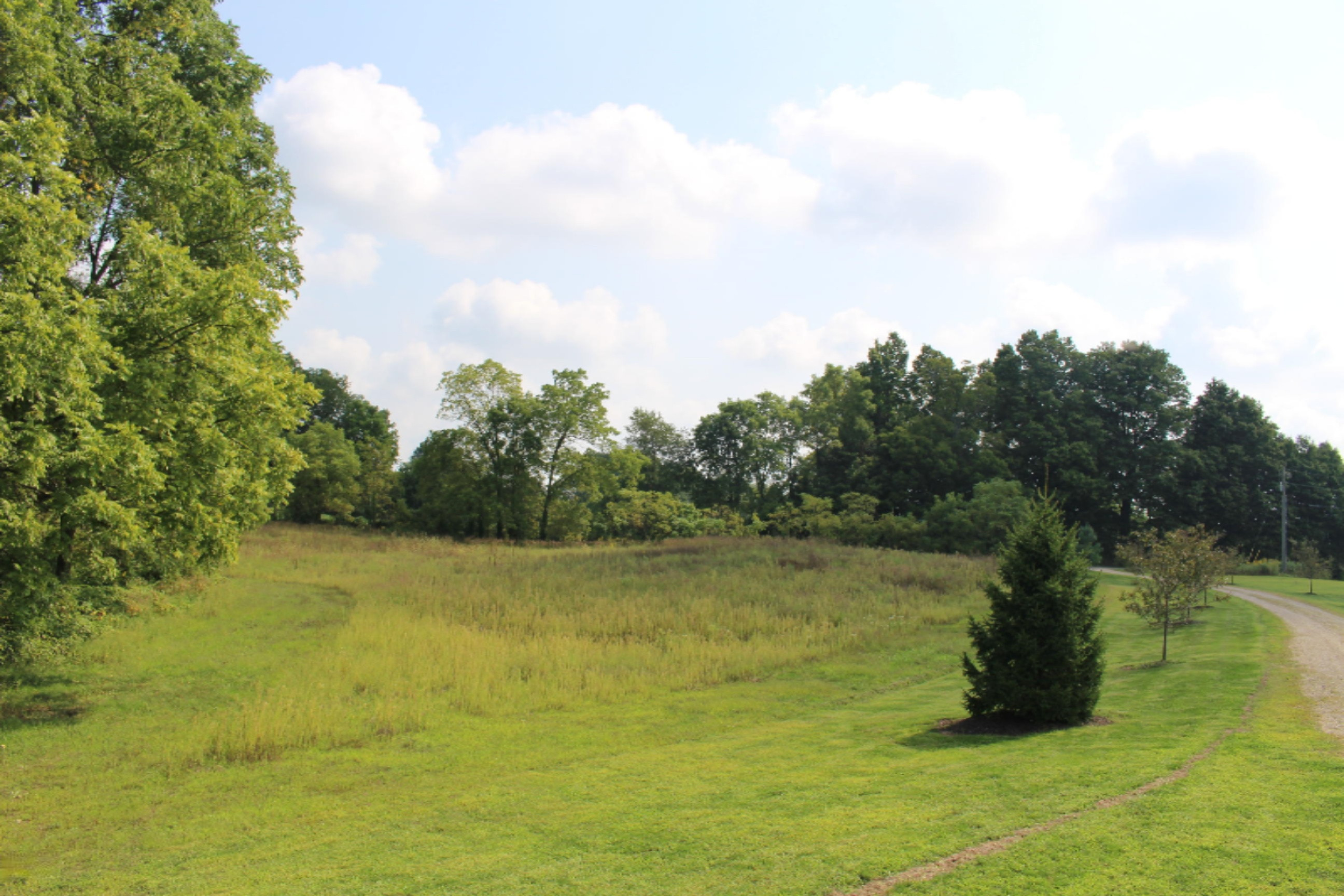 62970 Day Lake Road Cassopolis, MI 49031 - Photo 87 of 90 IMG_2968