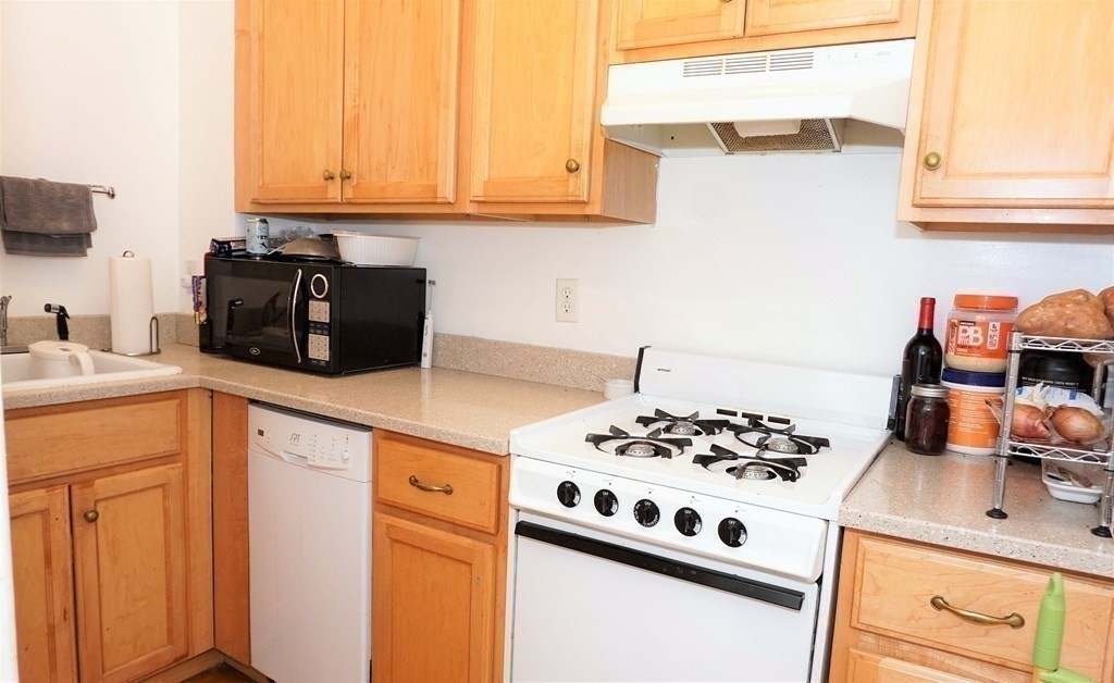 164 Strathmore Road, Unit 16 Boston, MA 02135 - Photo 4 of 10 Gallery Image 4