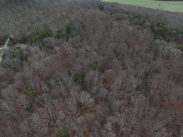 0 Red Hill Road Lewisburg, KY 42256 - Photo 4 of 6 Gallery Image 4
