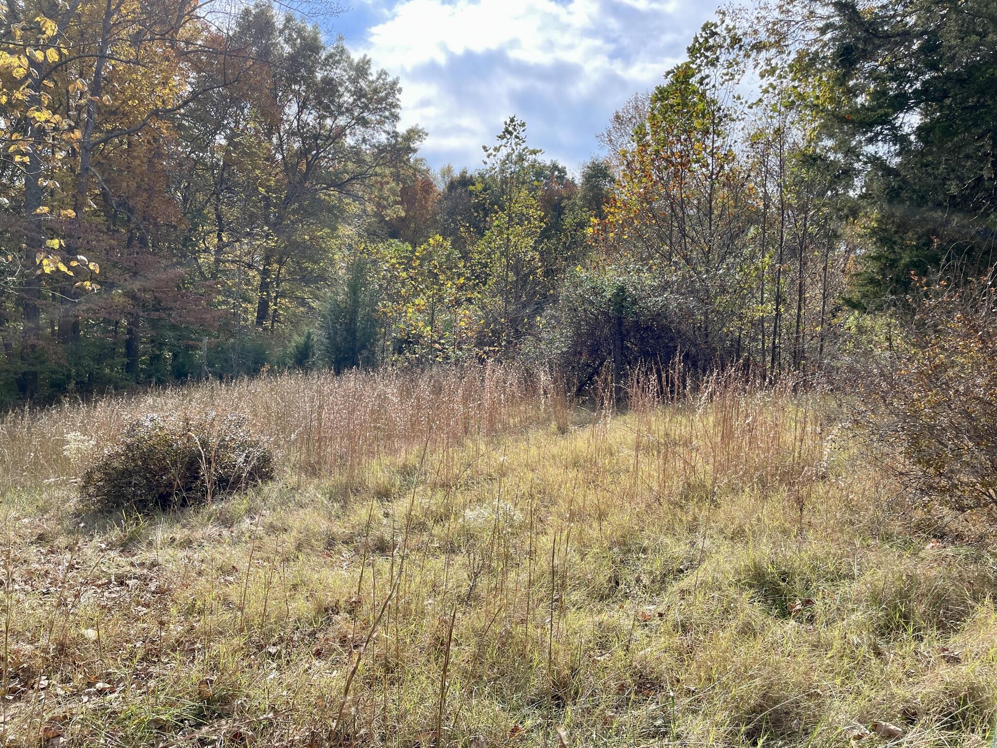 1321 Curry Road Summersville, KY 42782 - Photo 1 of 12 5B8B43CA-FE88-4E3E-911D-CA02397283E9