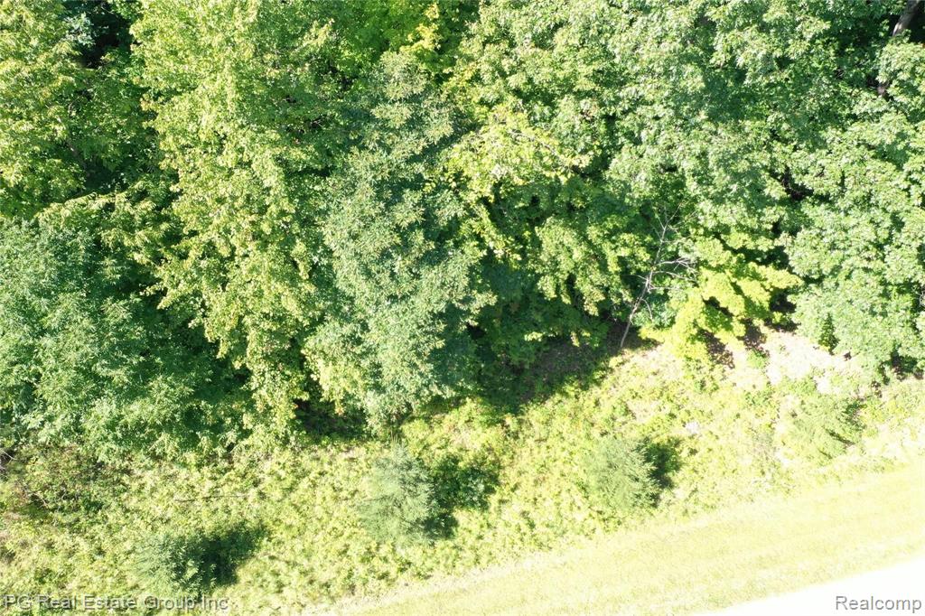 0 Charitoo Ridge Leonard, MI 48367 - Photo 10 of 34