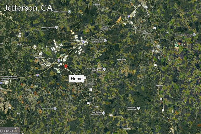 a bird view of a tree