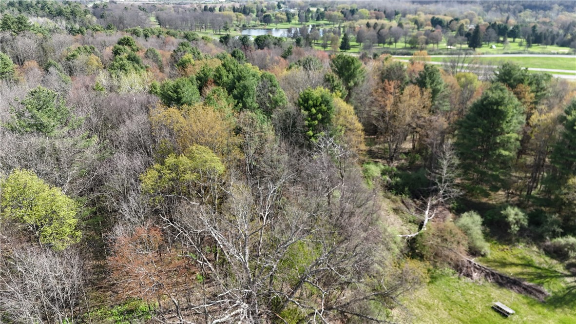 9155 Smith Road Lindley, NY 14870 - Photo 25 of 33