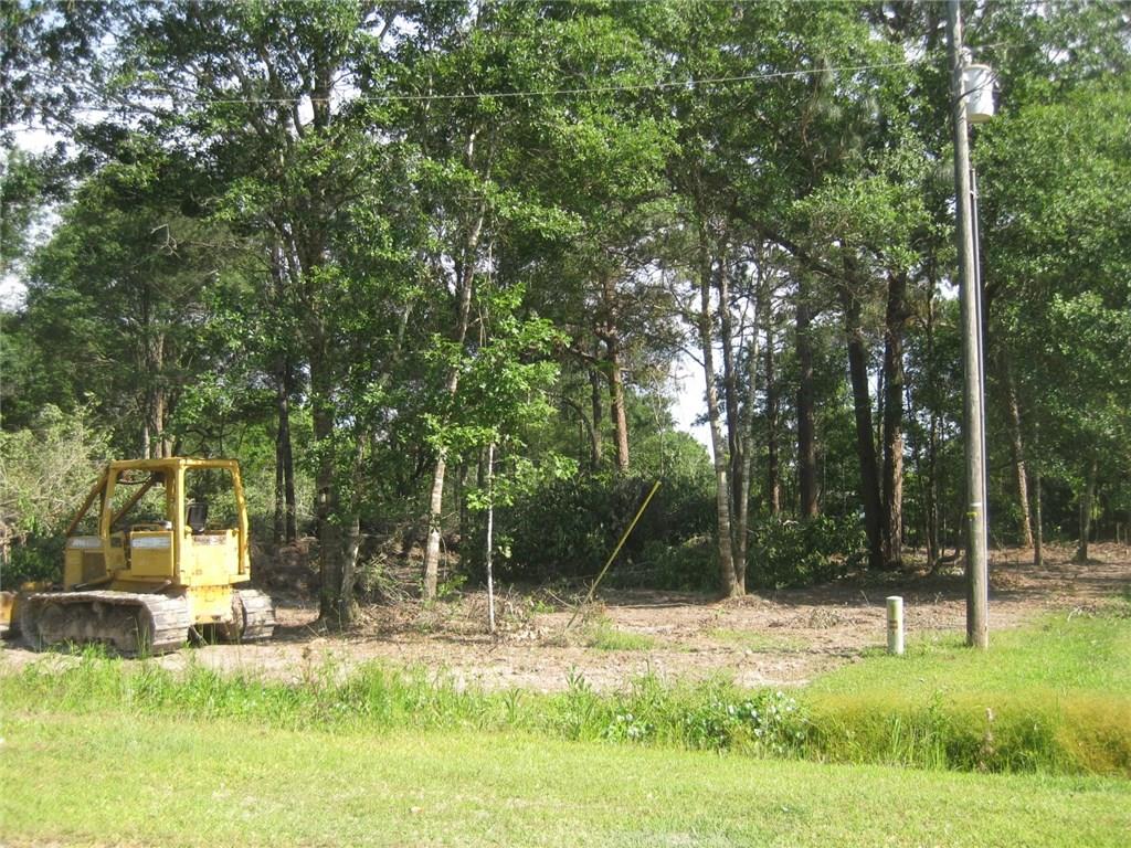 Tbd South Pine Drive Ragley, LA 70657 - Photo 2 of 4