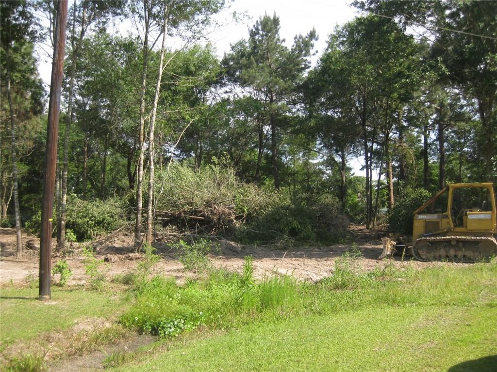 Tbd South Pine Drive Ragley, LA 70657 - Photo 3 of 4