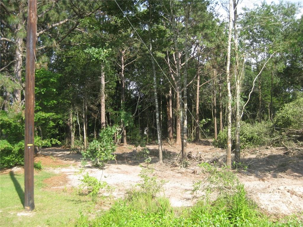 Tbd South Pine Drive Ragley, LA 70657 - Photo 4 of 4