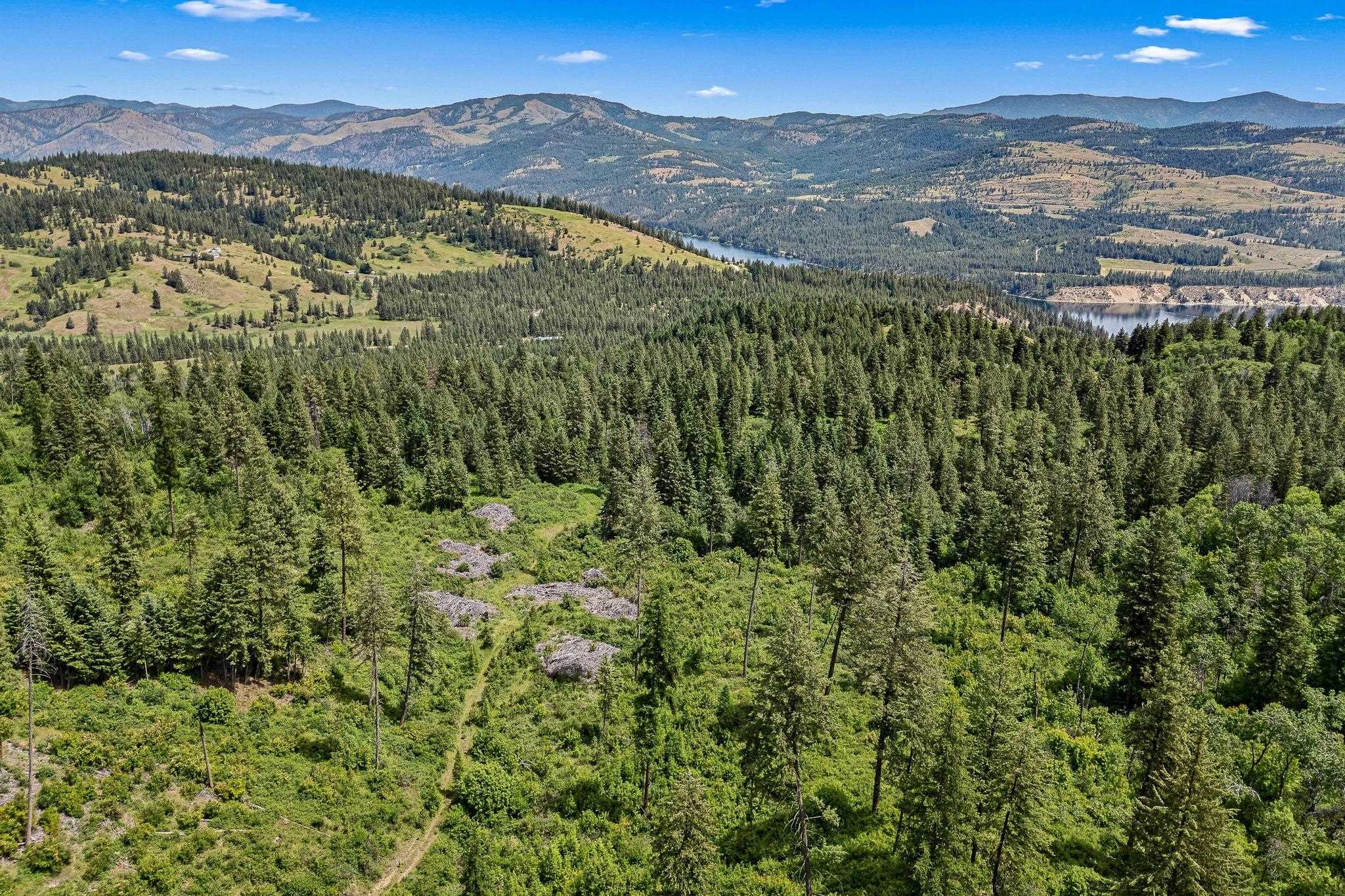 Nna Silver Creek Road Inchelium, WA 99138 - Photo 1 of 40 Gallery Image 1