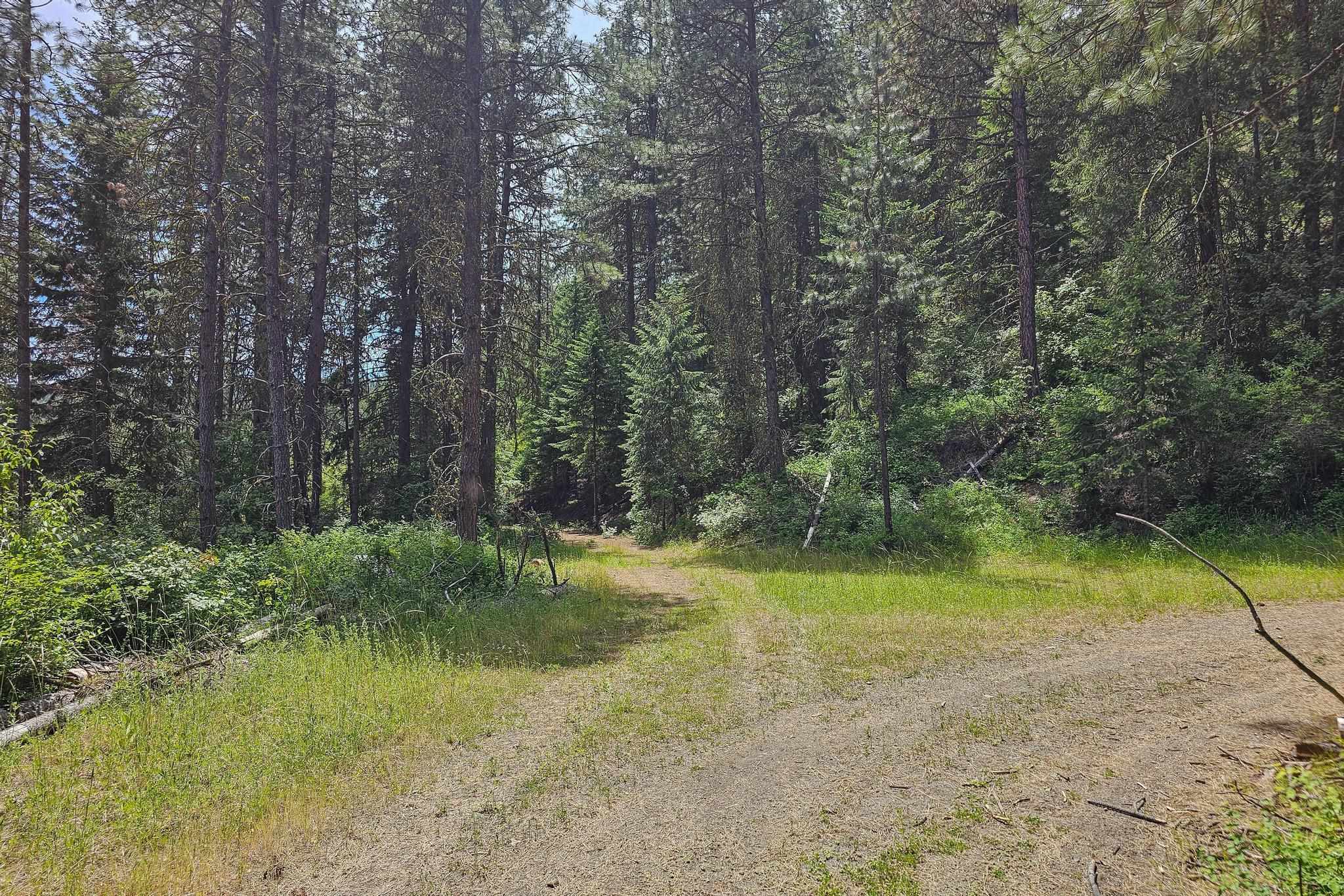 Nna Silver Creek Road Inchelium, WA 99138 - Photo 11 of 40 Gallery Image 11