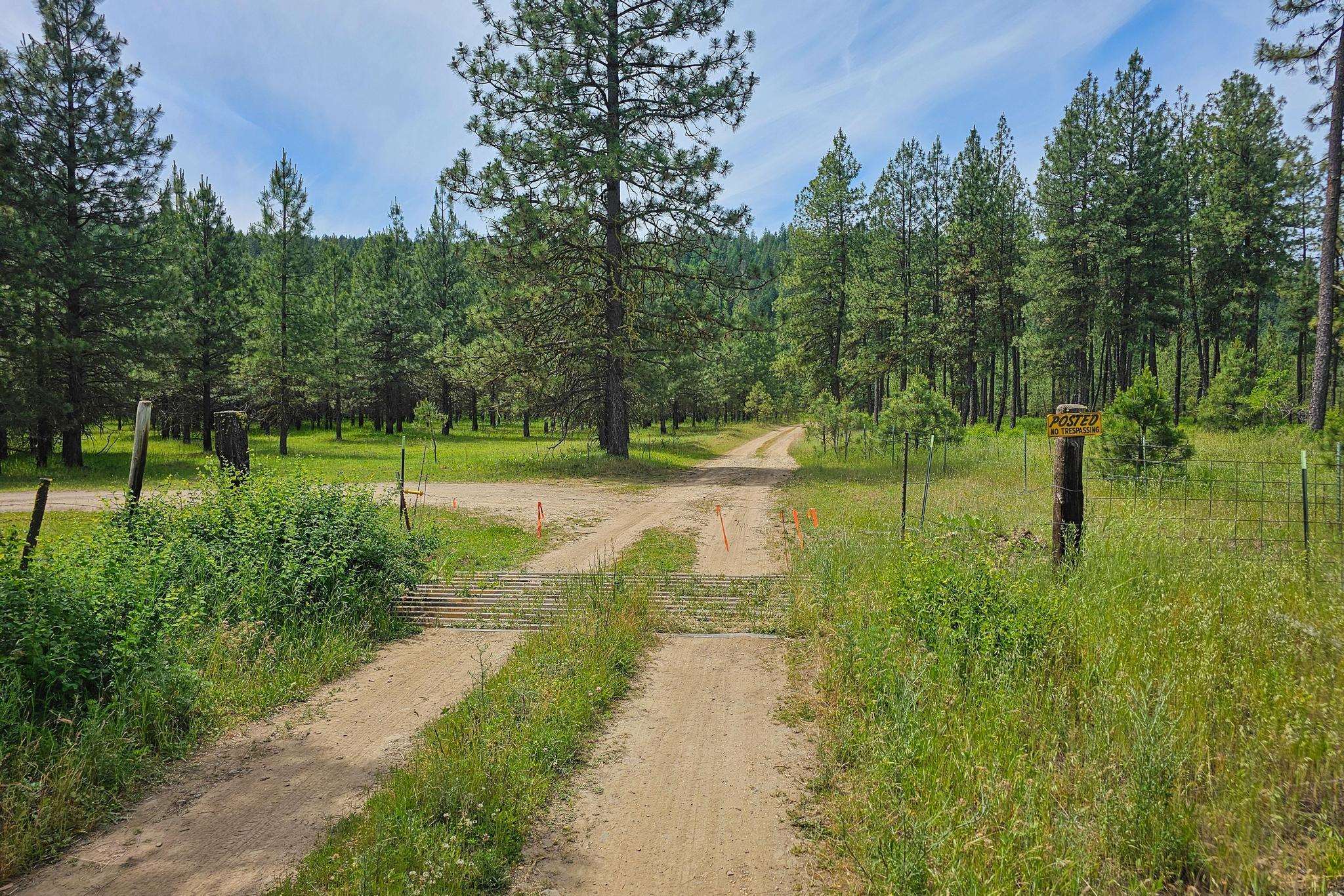 Nna Silver Creek Road Inchelium, WA 99138 - Photo 12 of 40 Gallery Image 12