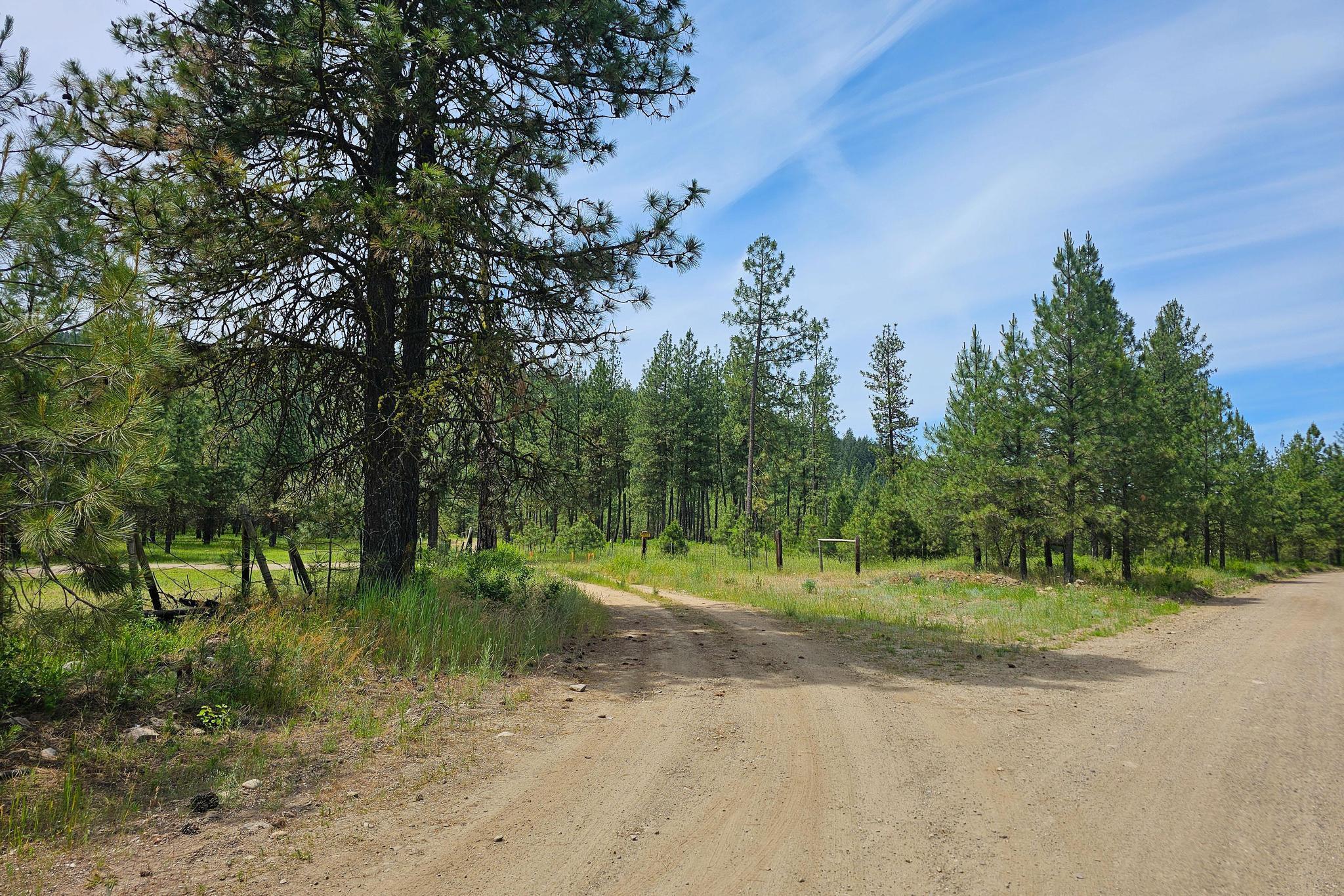 Nna Silver Creek Road Inchelium, WA 99138 - Photo 13 of 40 Gallery Image 13