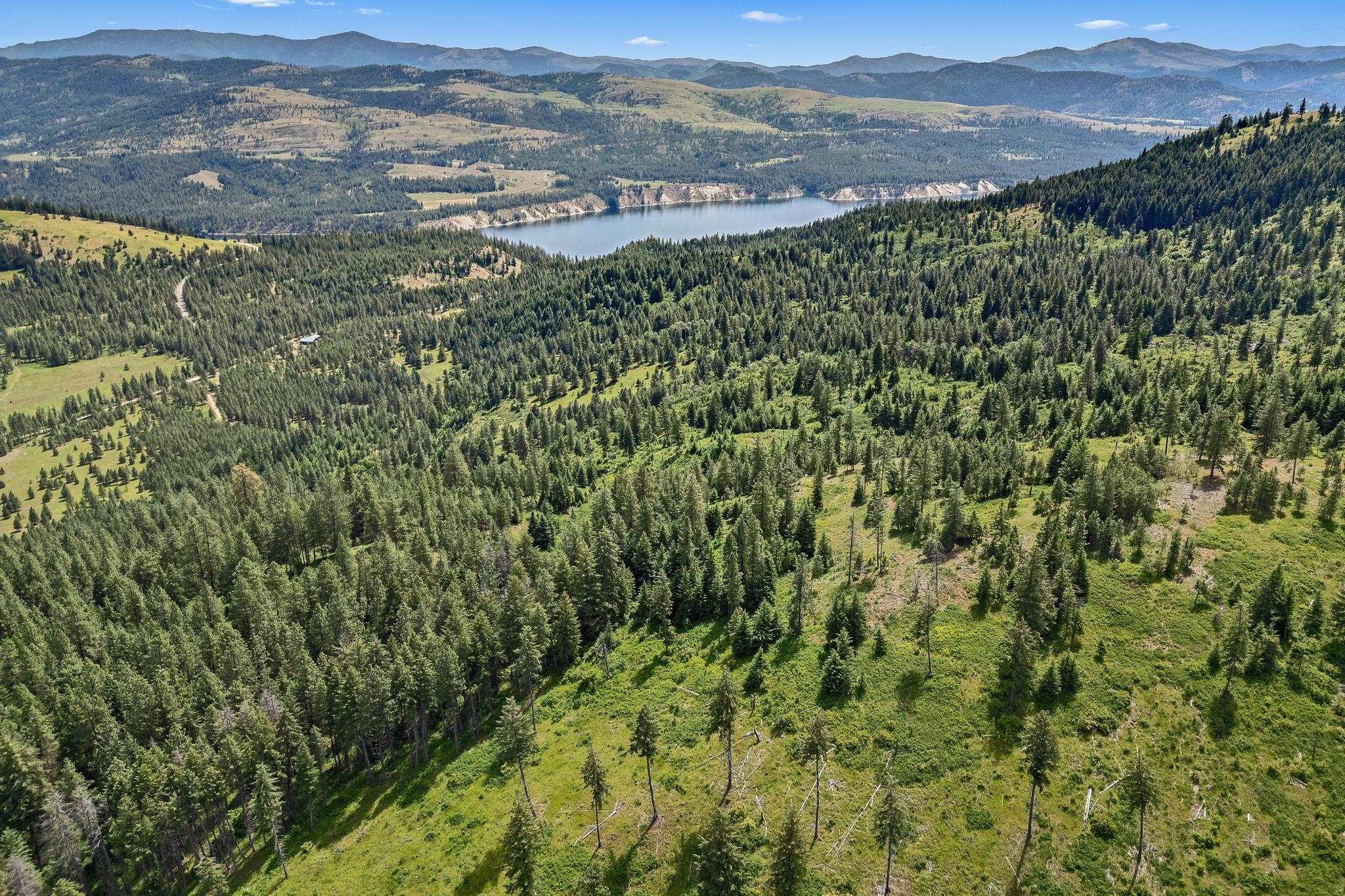 Nna Silver Creek Road Inchelium, WA 99138 - Photo 16 of 40 Gallery Image 16