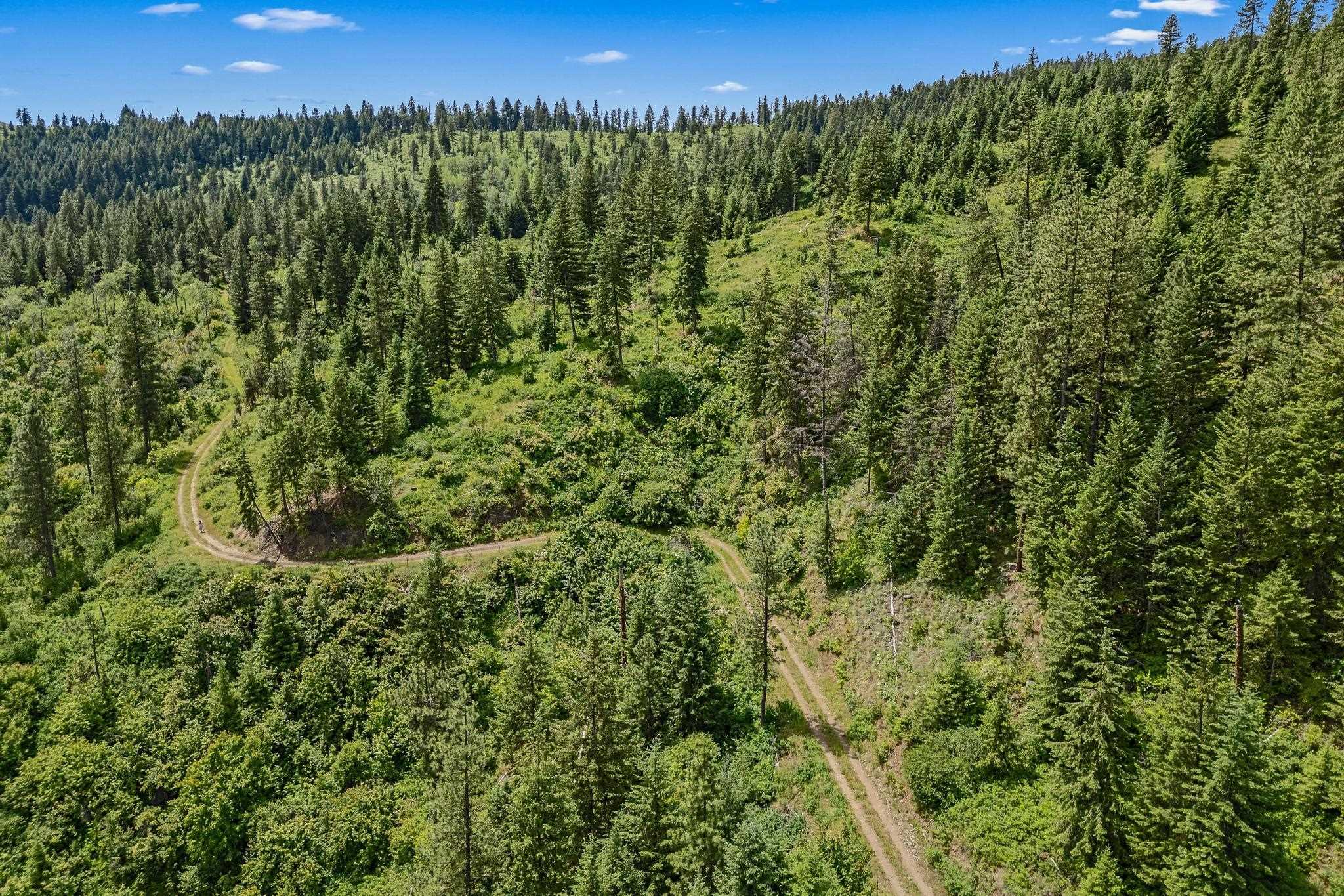 Nna Silver Creek Road Inchelium, WA 99138 - Photo 19 of 40 Gallery Image 19